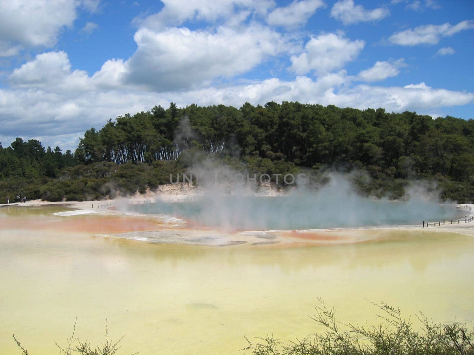 Champagne Pool,New Zealand
