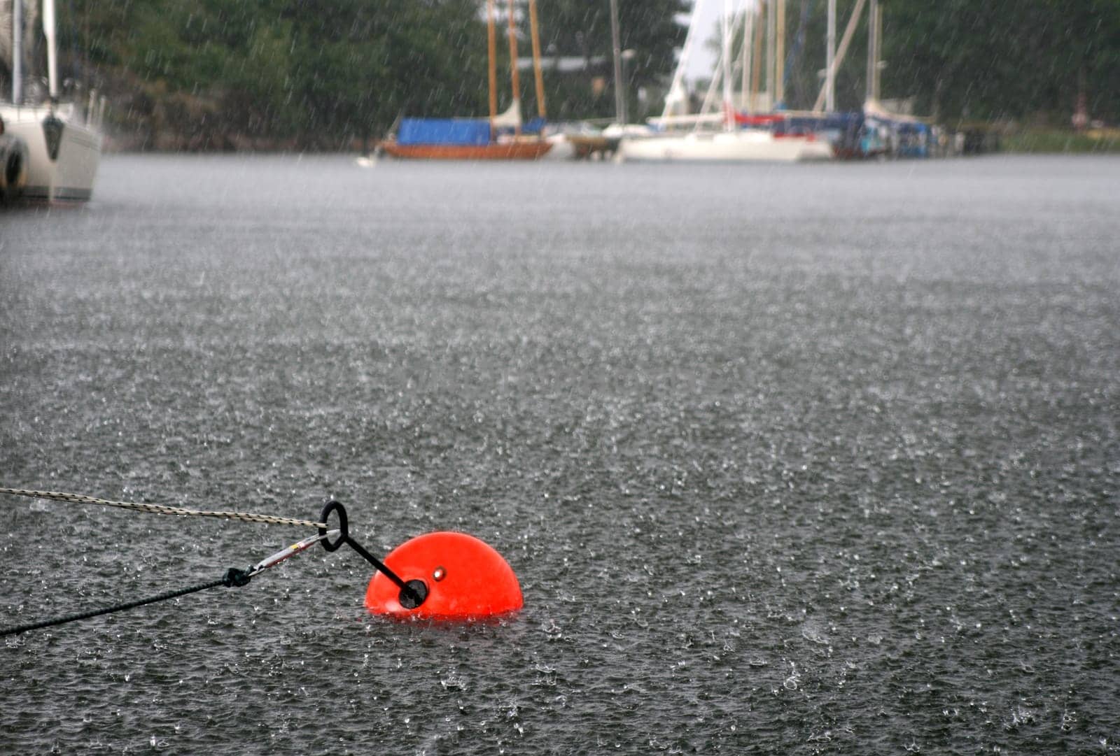 We weathered the storm low,with 9 Bft. and hurricane-like gusts,in Karlshamn/Sweden and survived well.