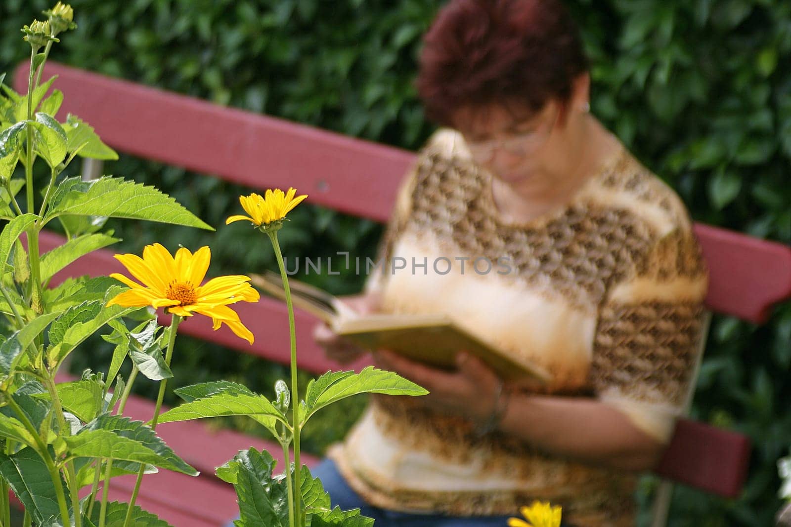 Woman reading