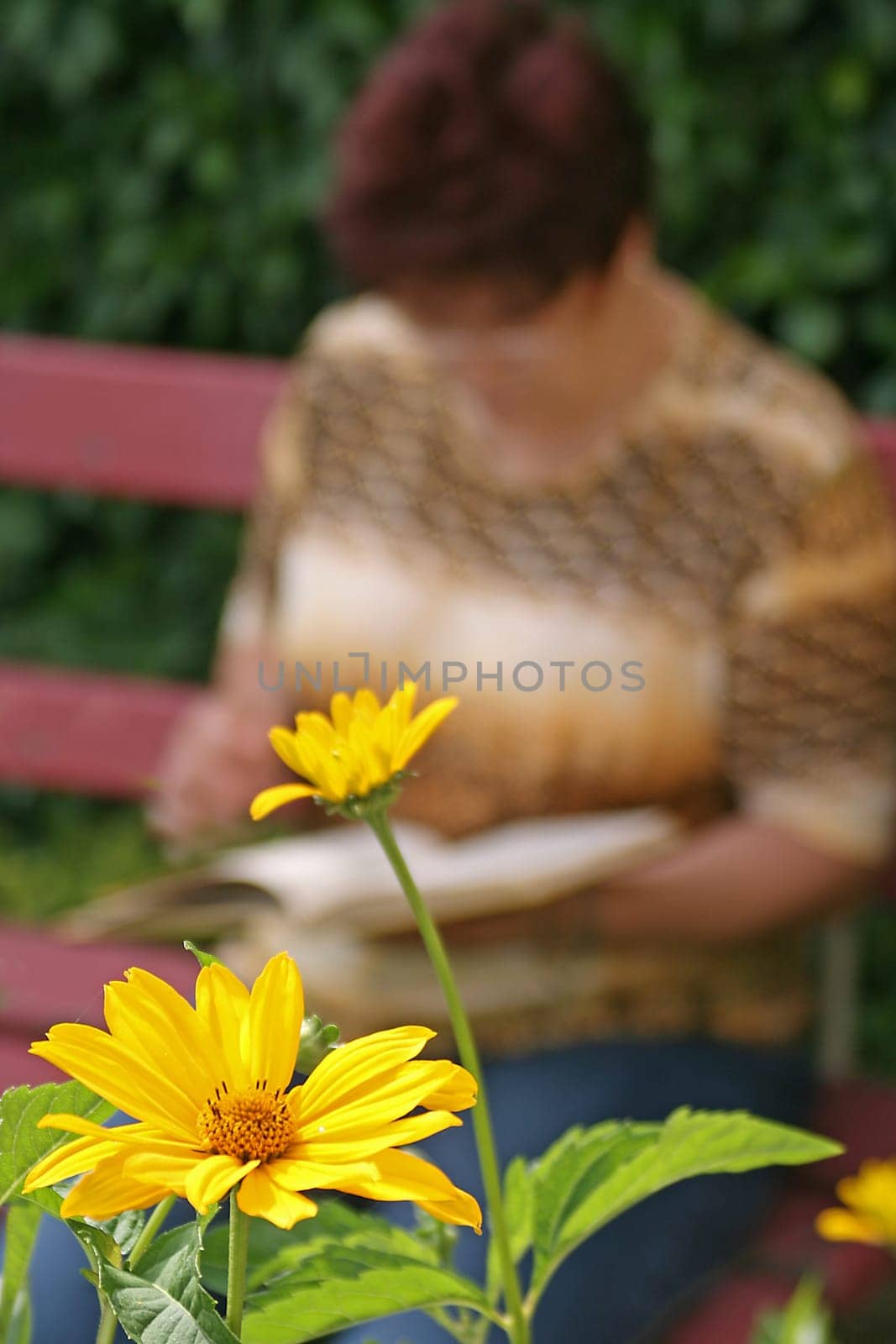 Woman reading