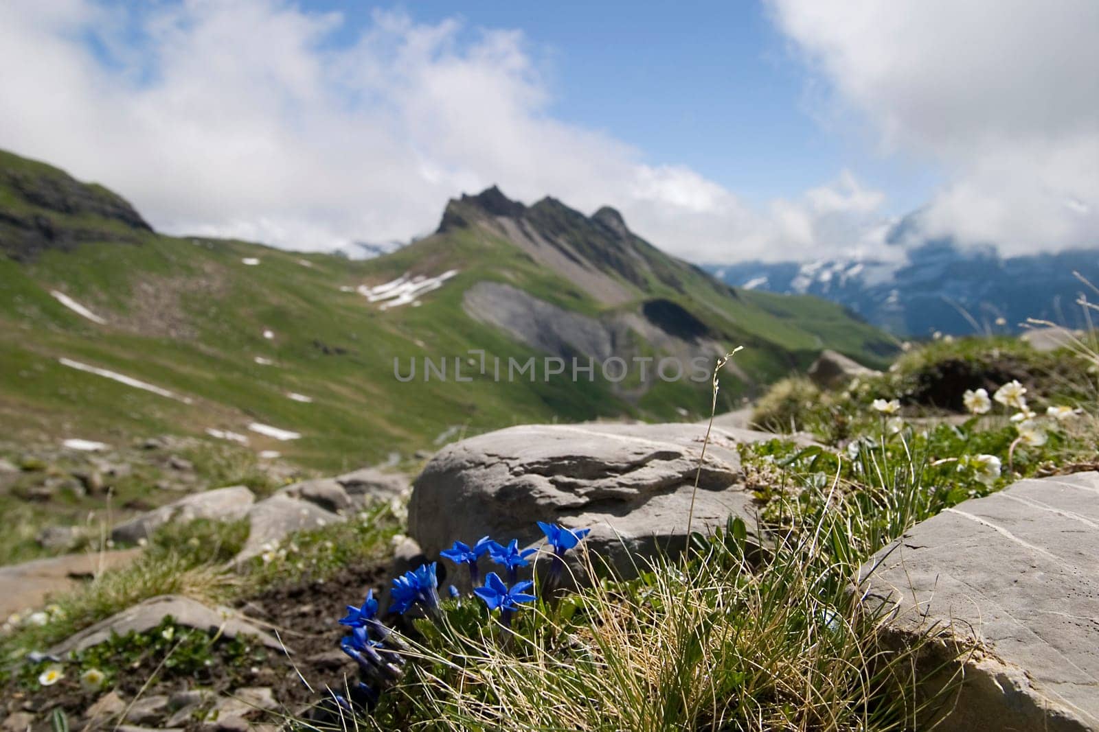 At the Bachalpsee