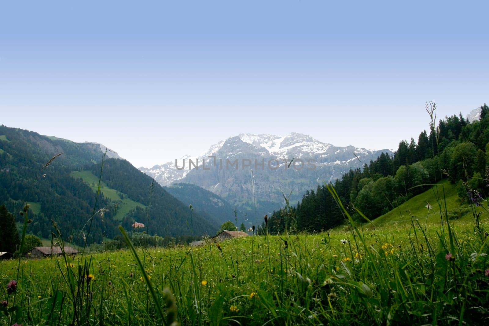 Mountain panorama Oberried