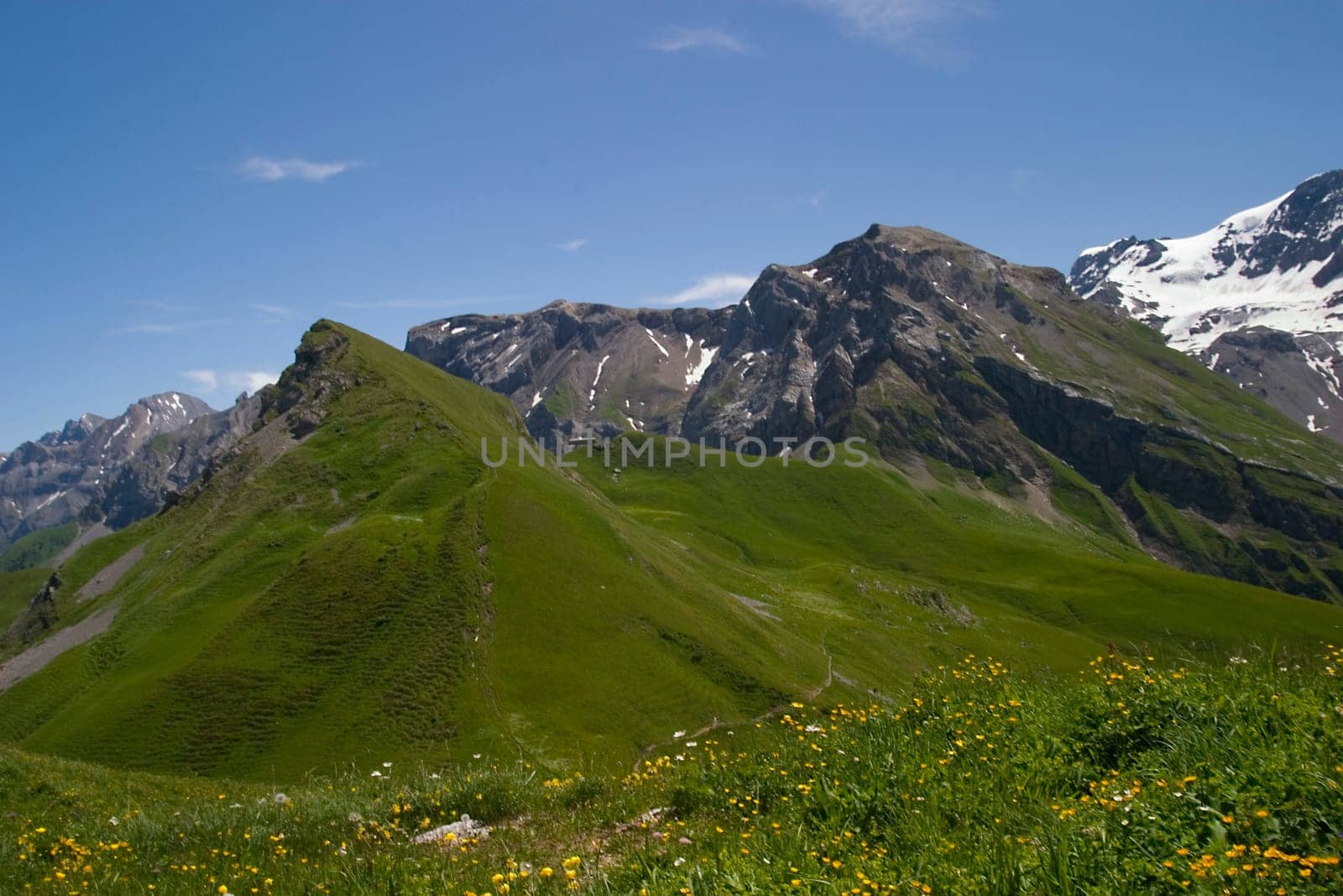 View from the Metschhorn towards Adelboden