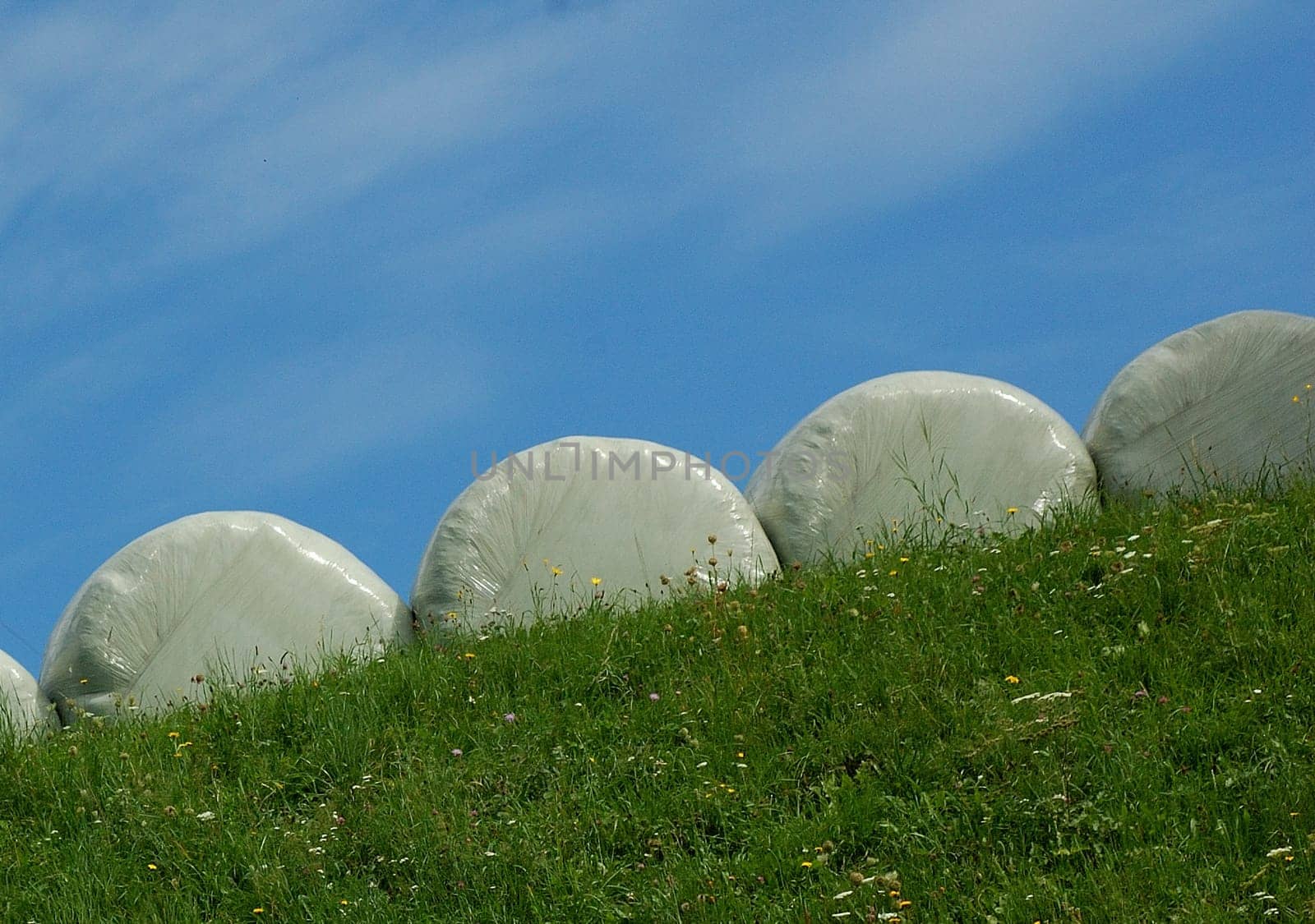 Feed bales