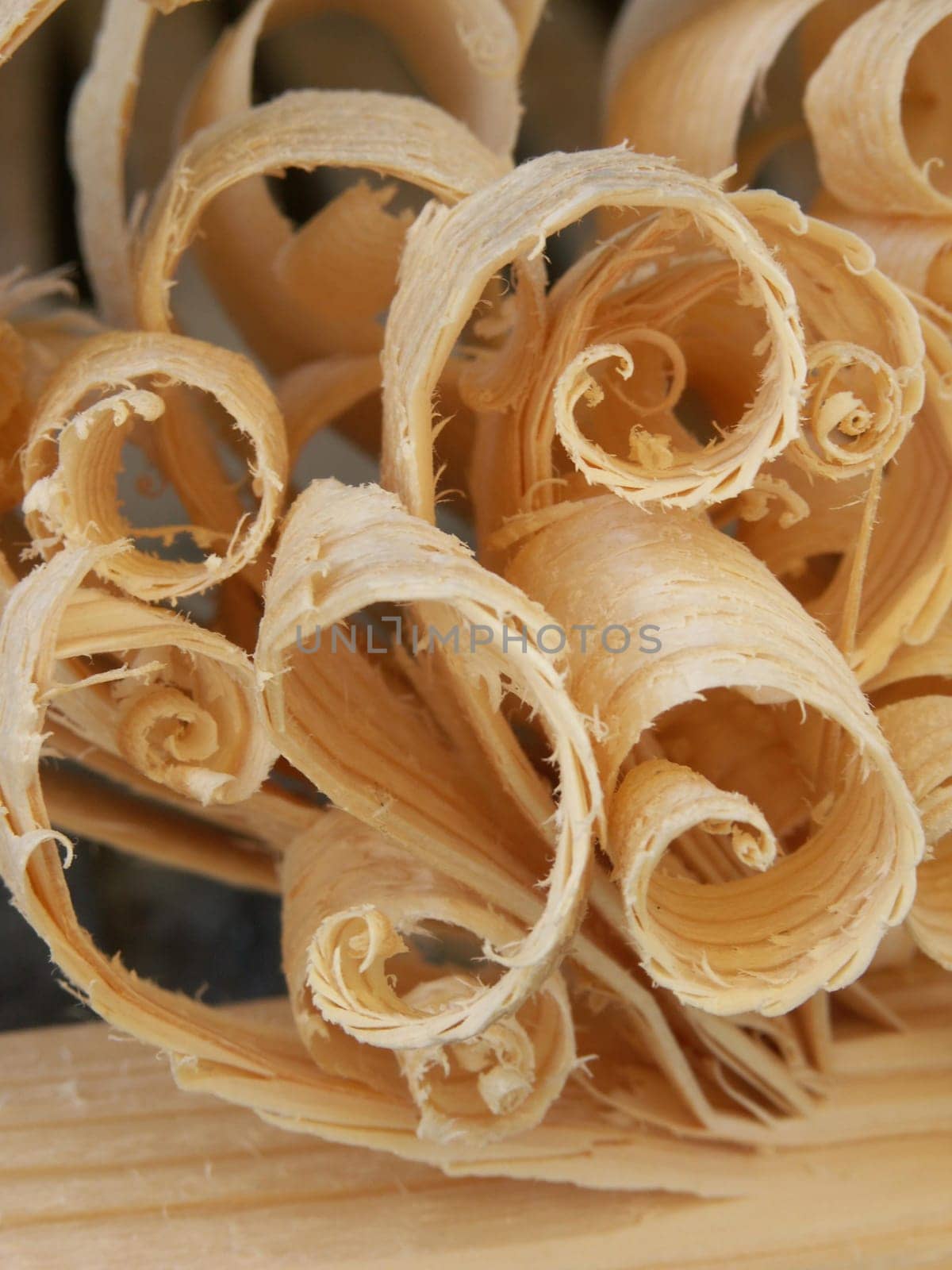 Wood shavings