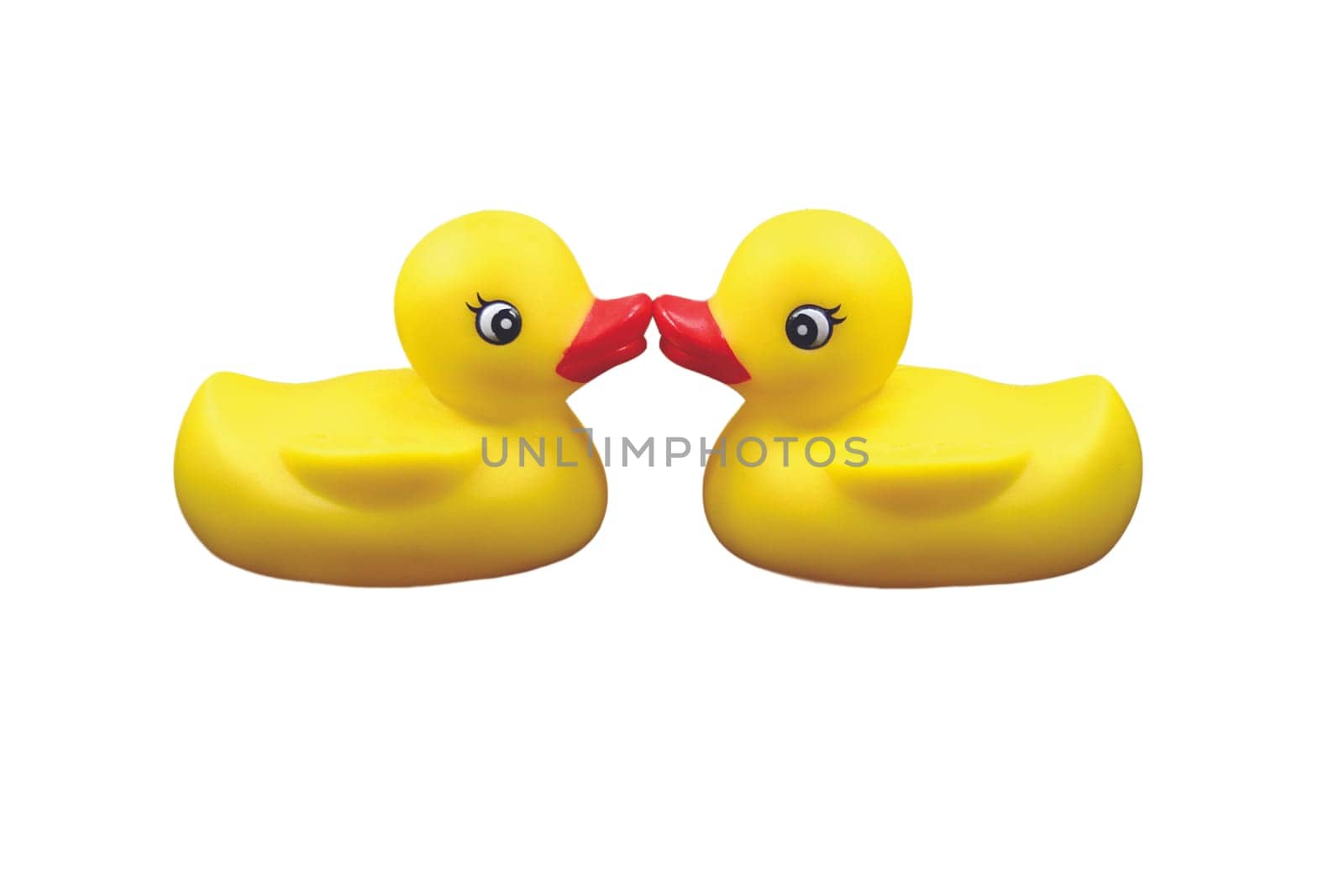 Knutschi