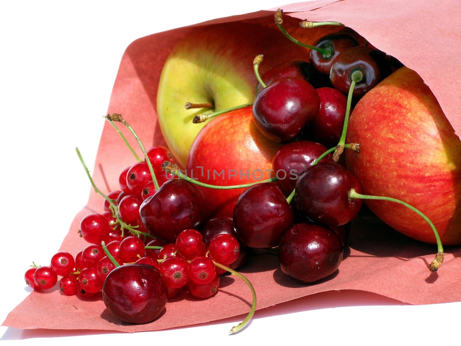 Fruit Day