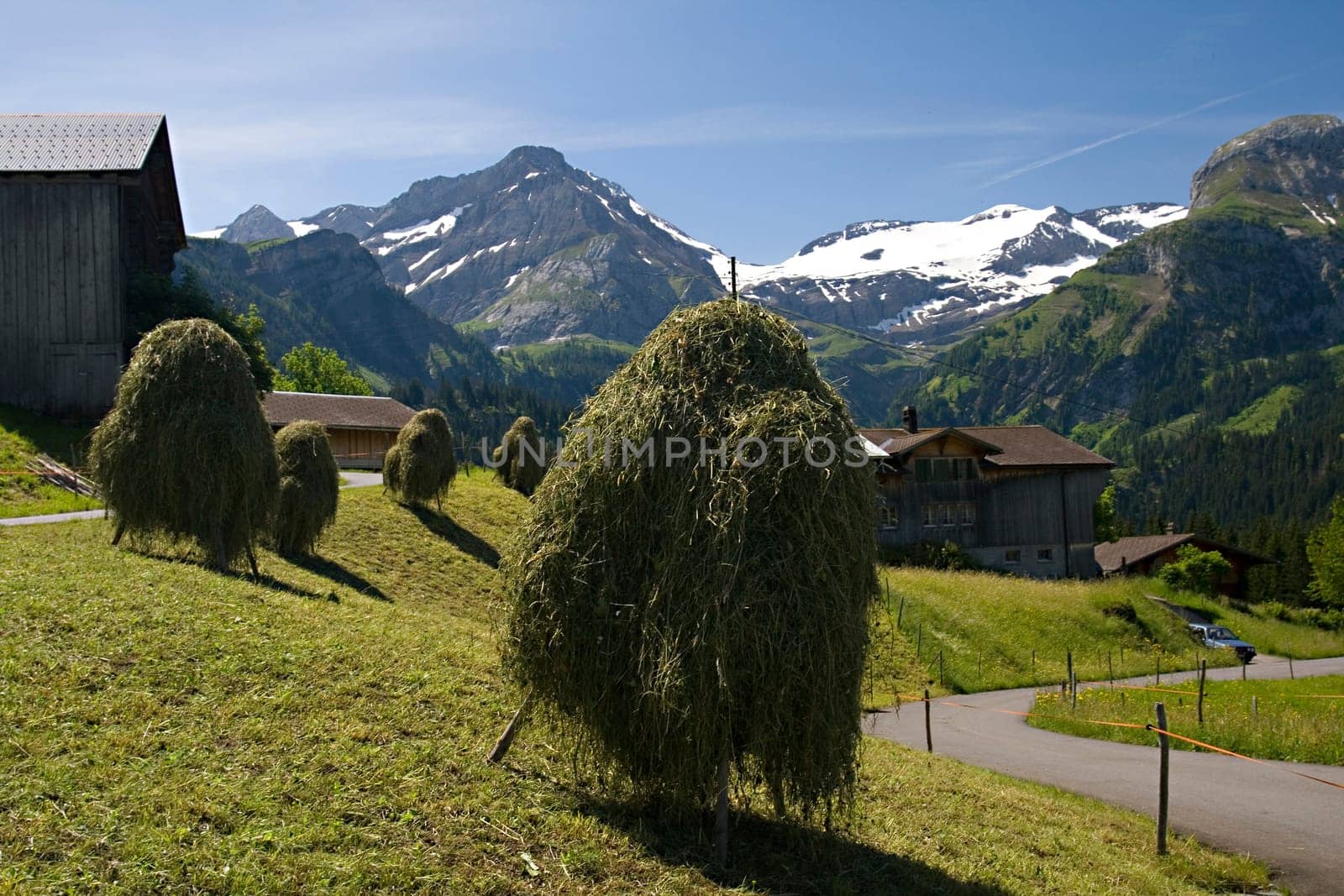 Hay harvest in front of the mountain scenery of Lauenen