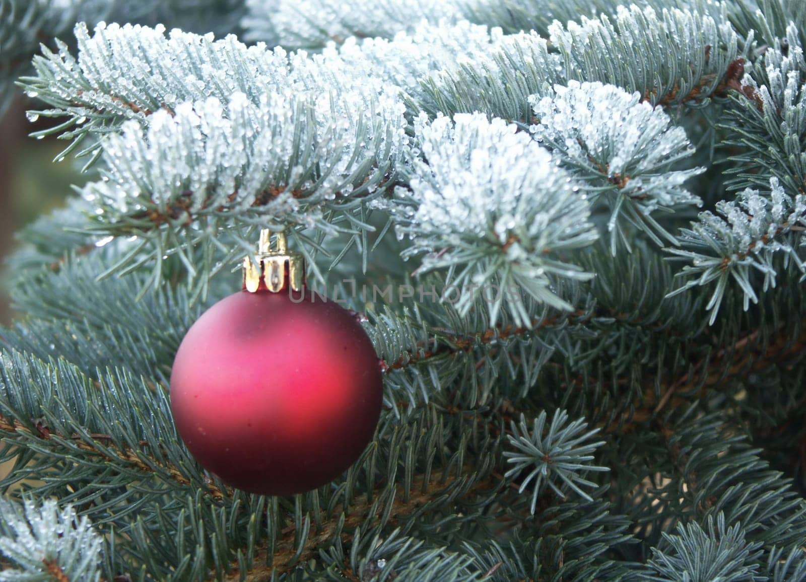 Christmastime