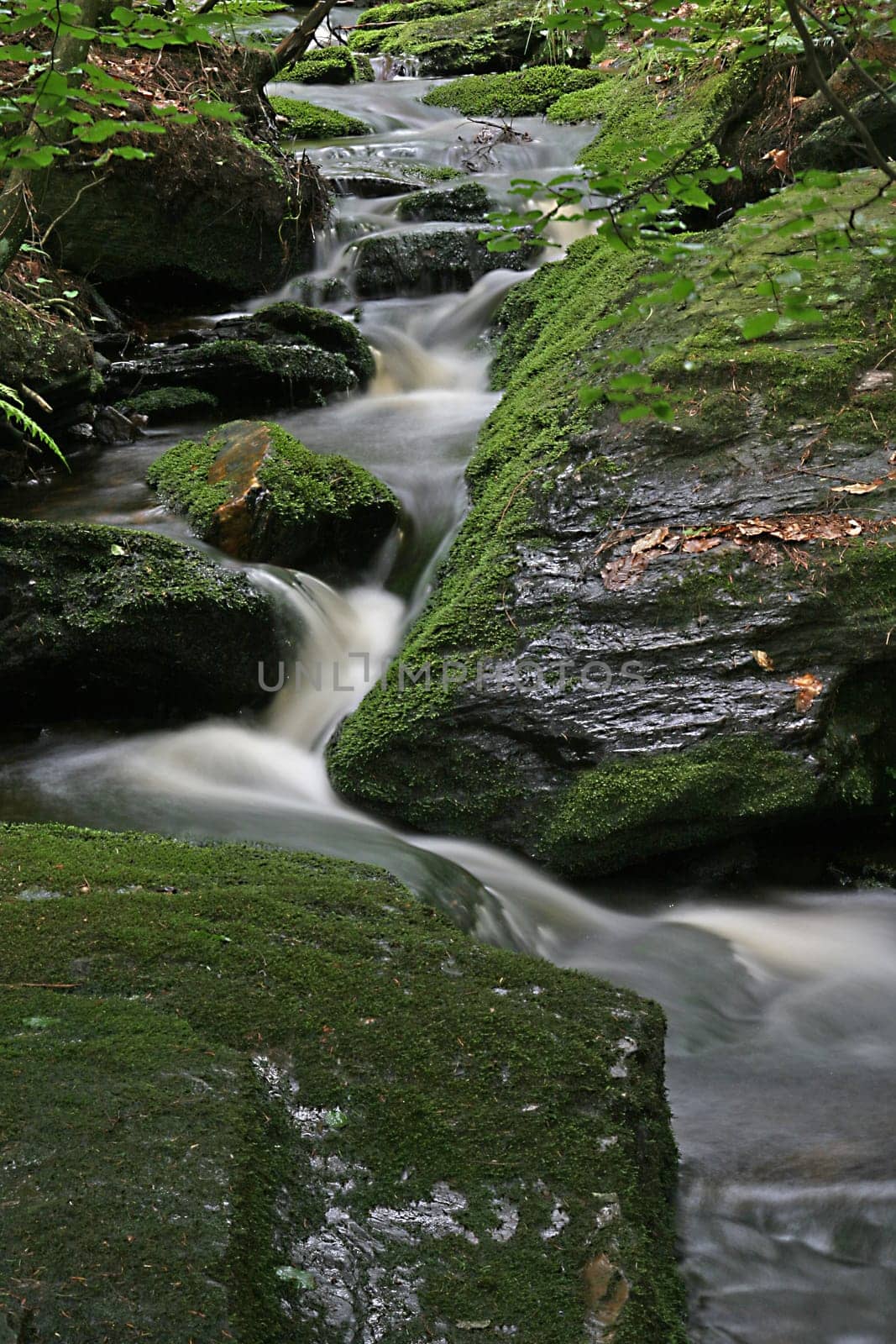 Torrent