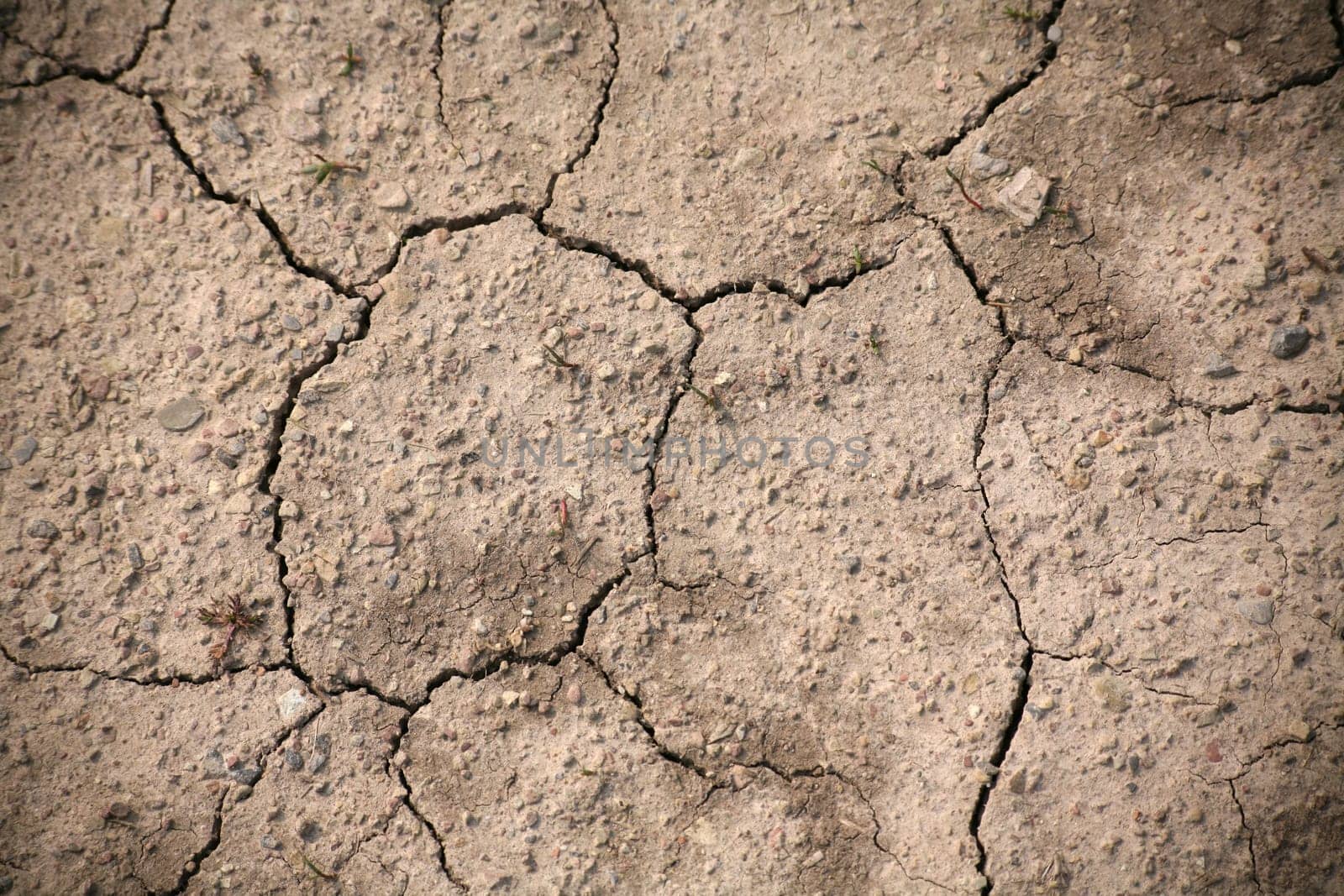 Drought