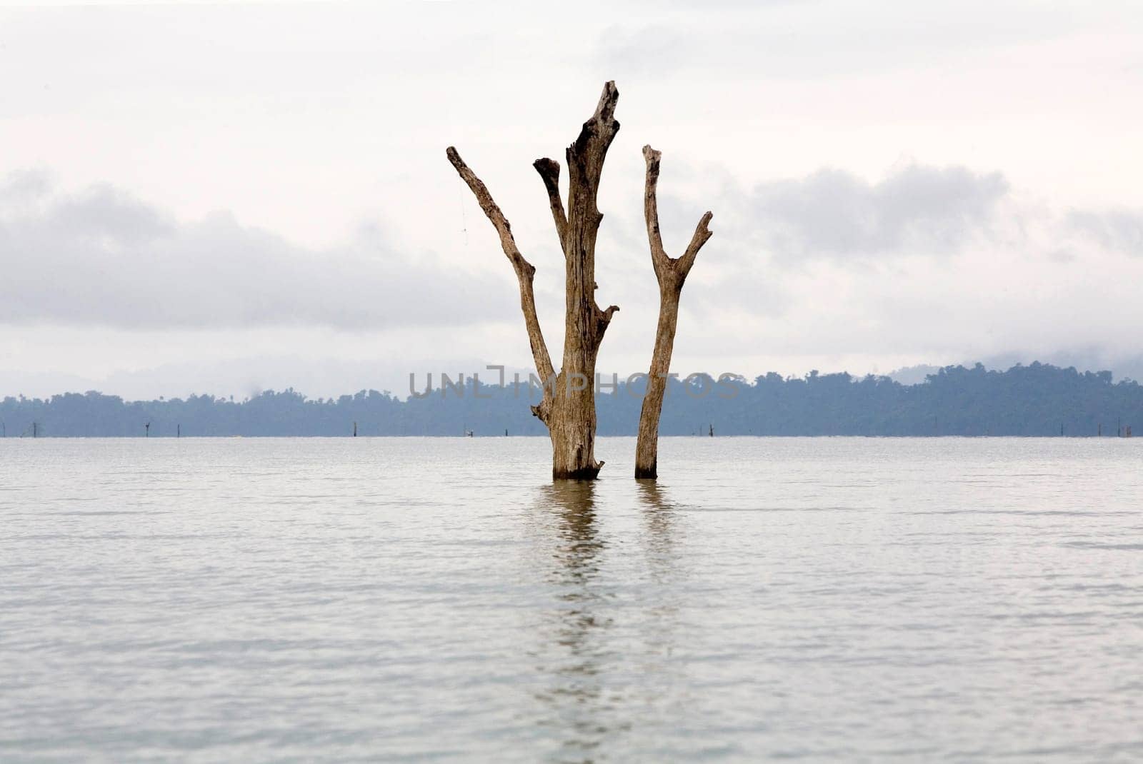 Nam Ngum Reservoir in Laos