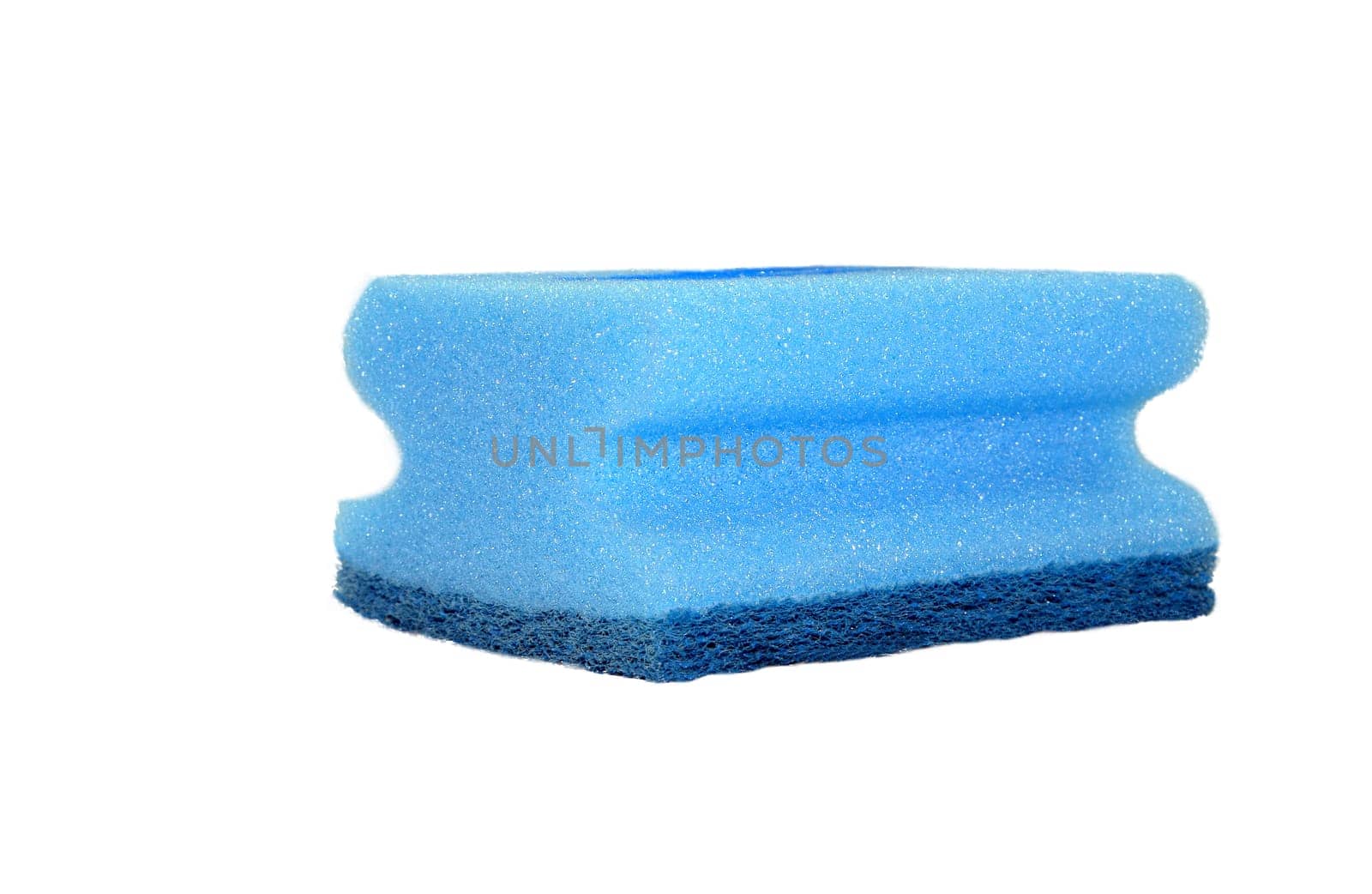 blue sponge