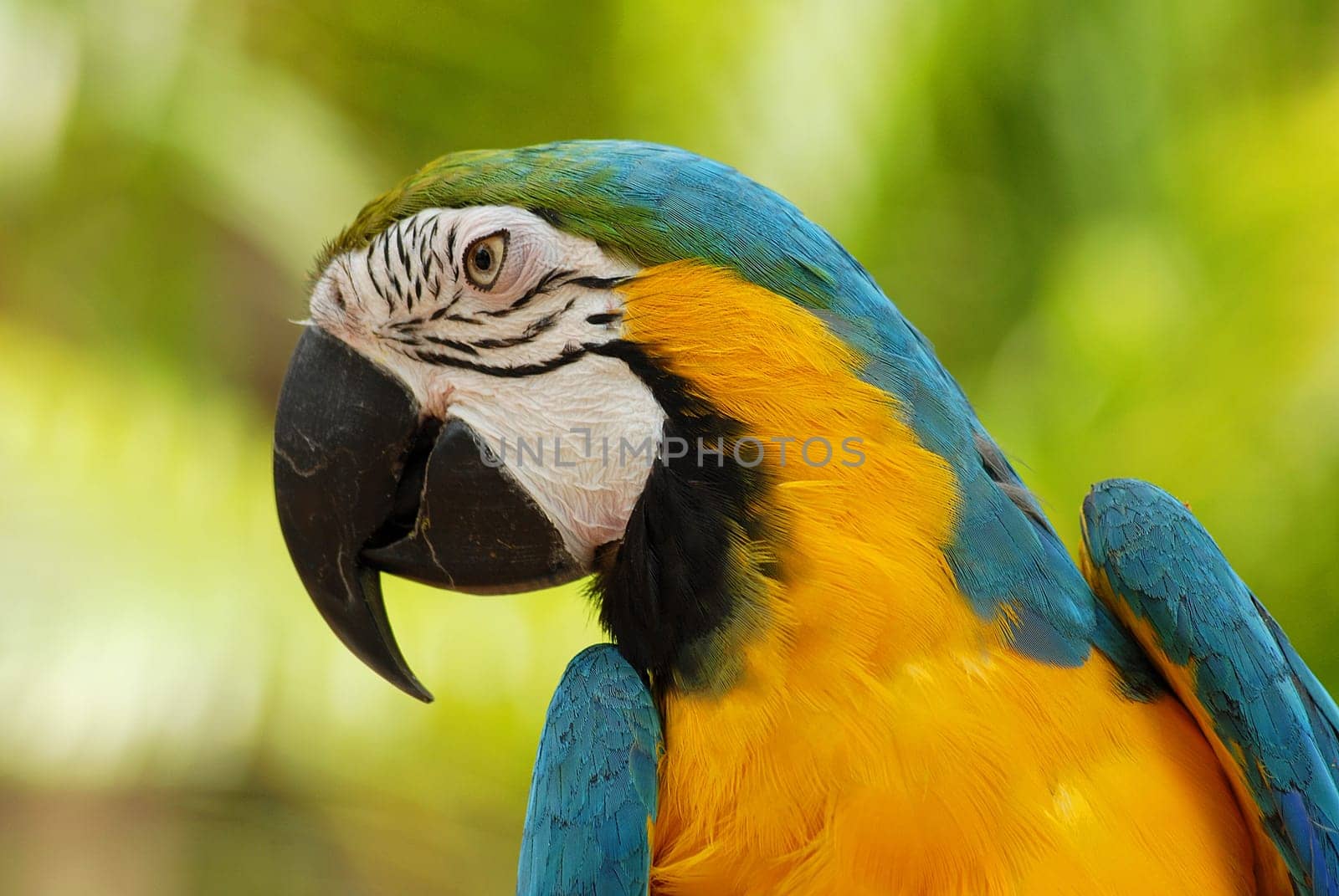 Somehow he didn't want to look at me....!:-)