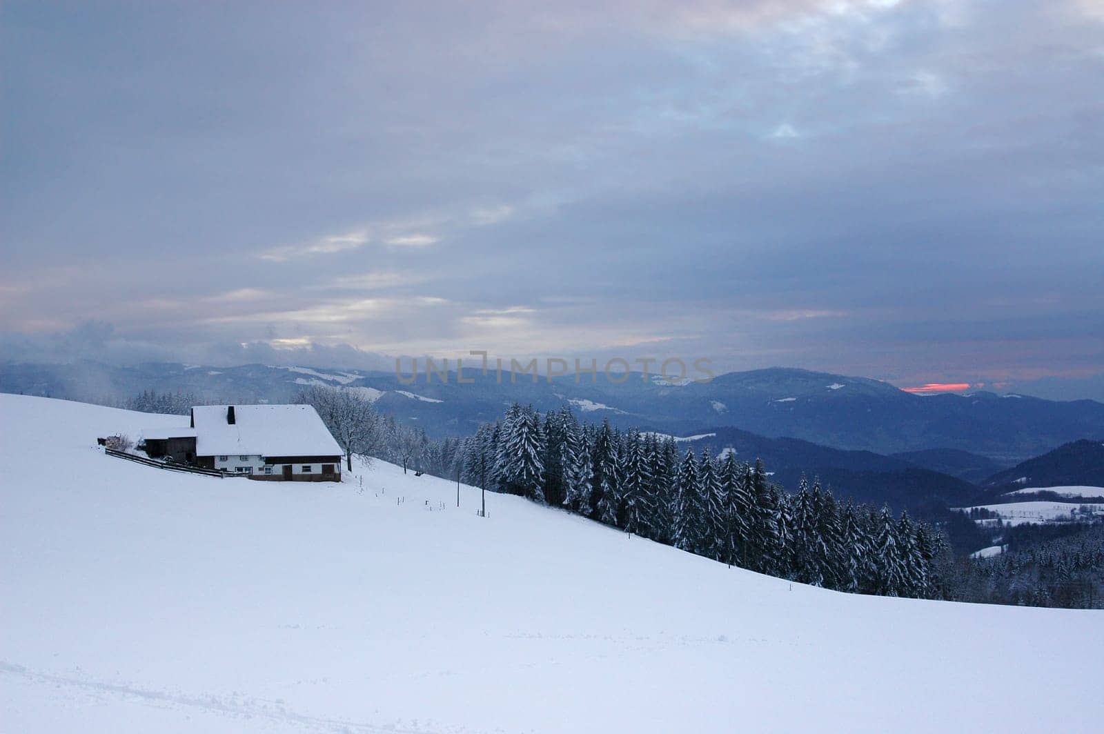 Winter Landscape 25