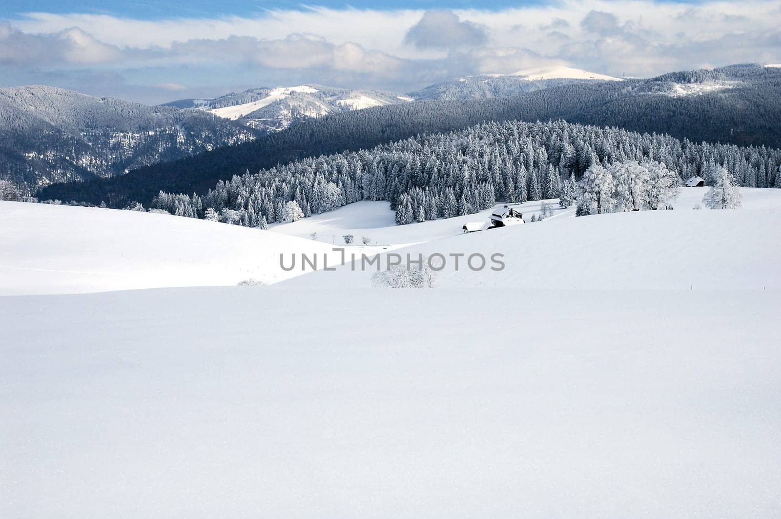 Winter Landscape 27
