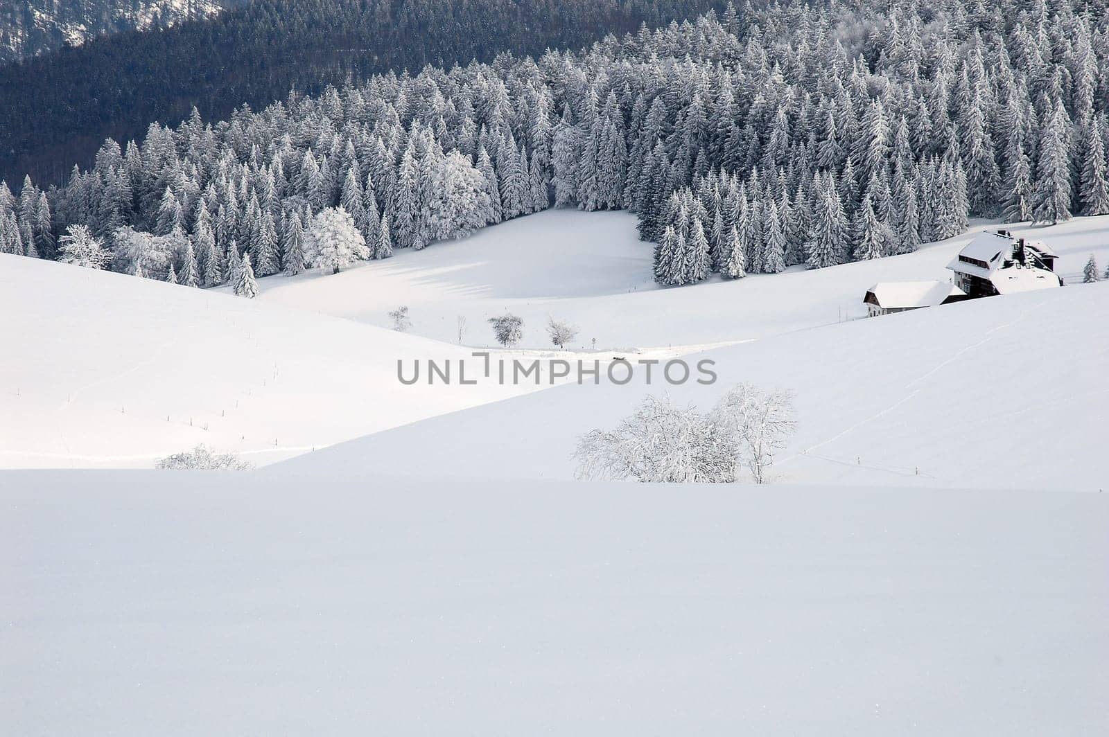 Winter Landscape 26