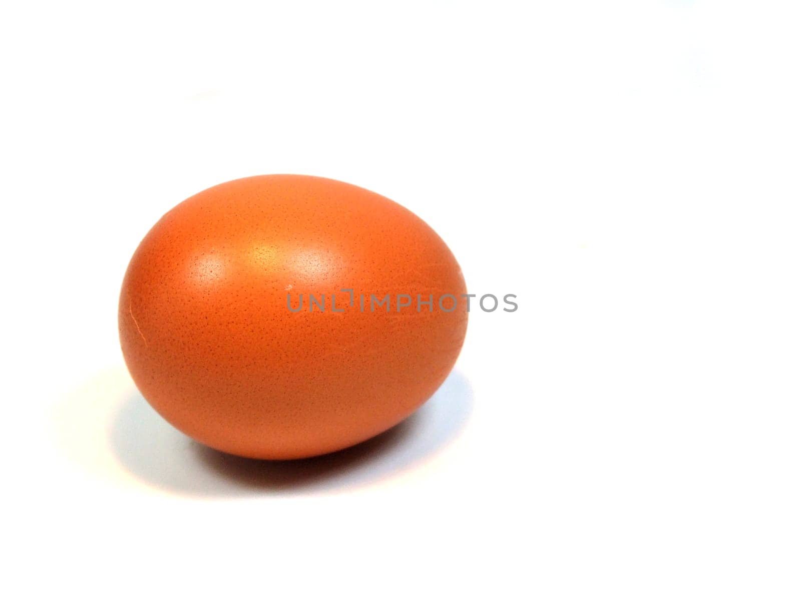 Egg