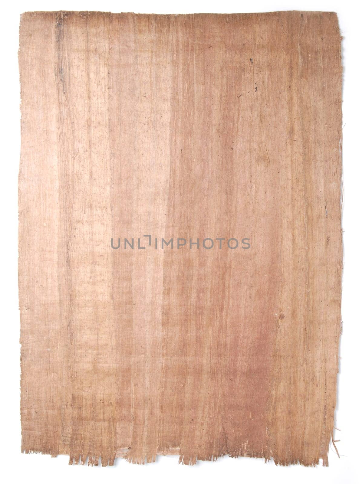 Papyrus paper