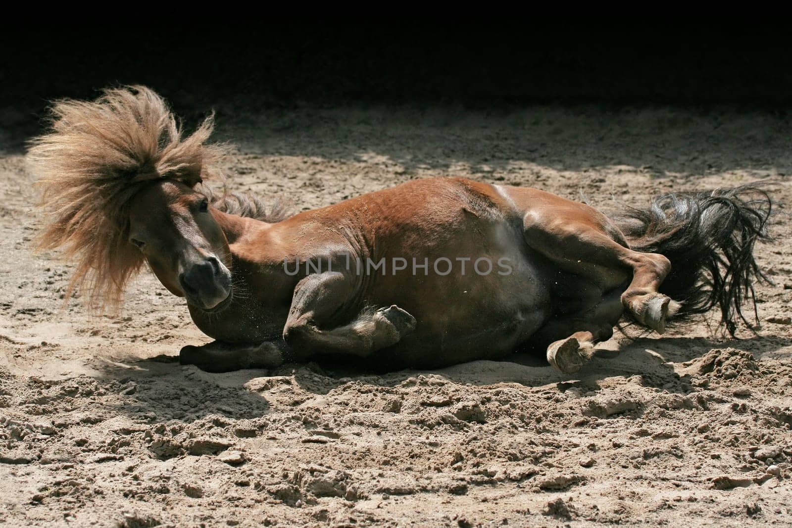 Sand bath