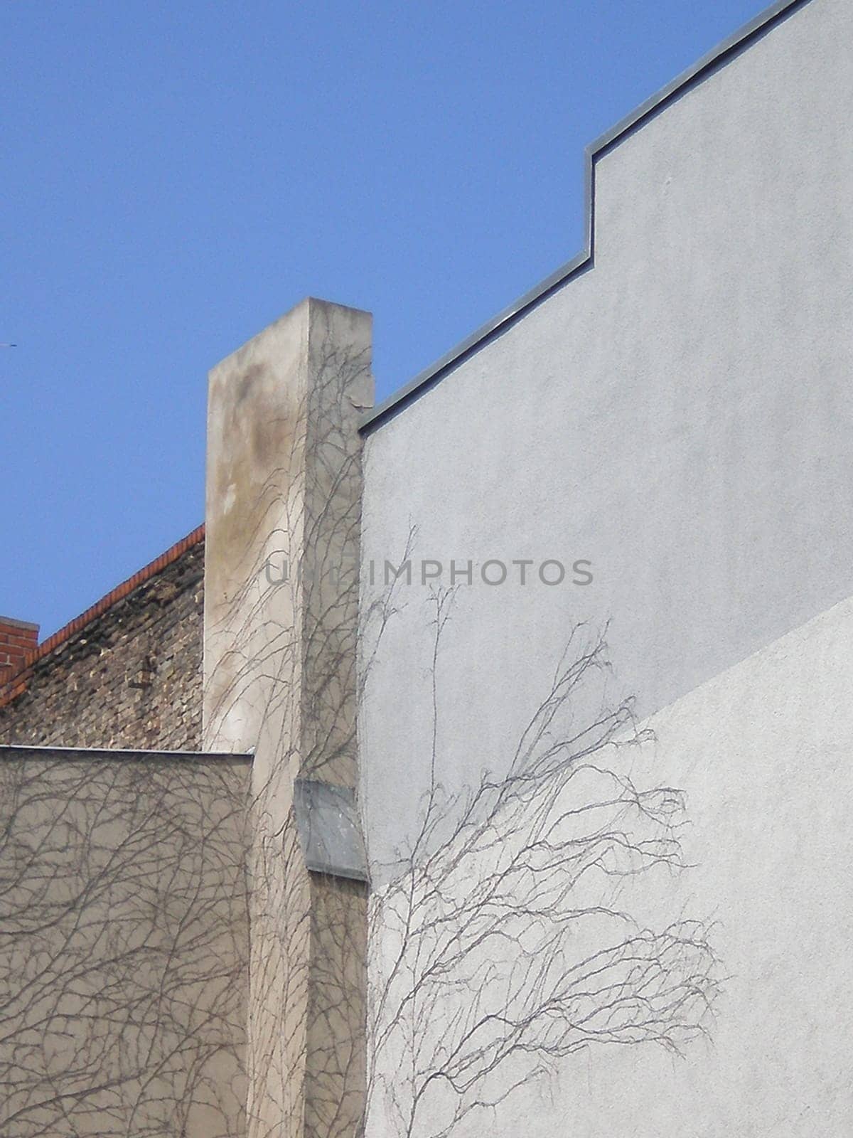 overgrown wall
