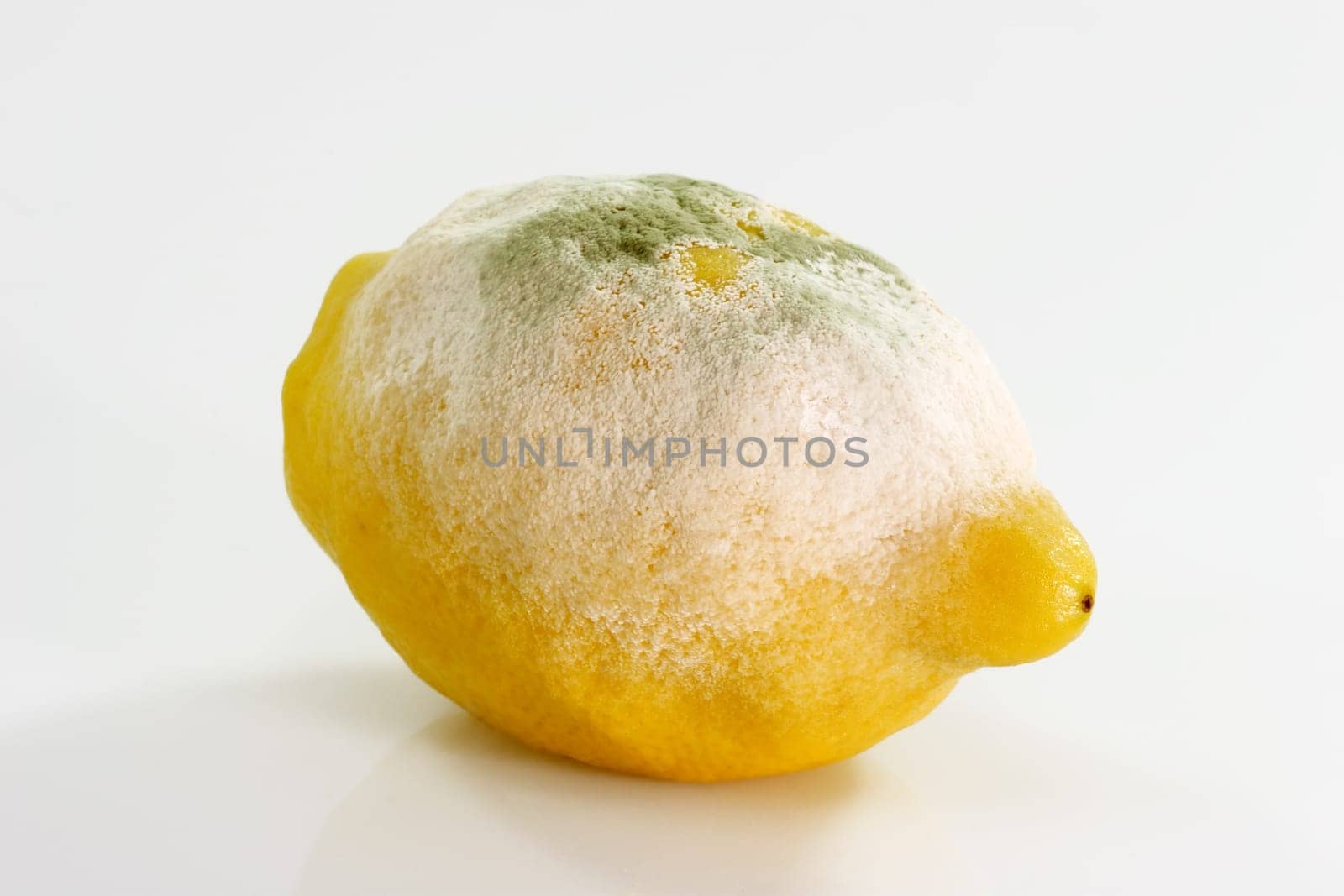 Moldy lemon