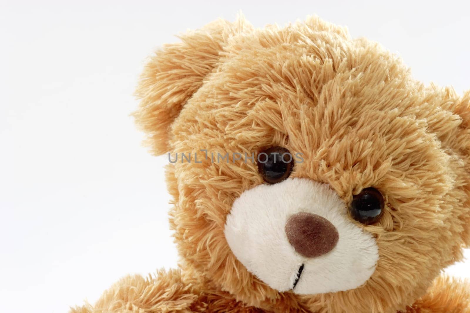 Teddy bear