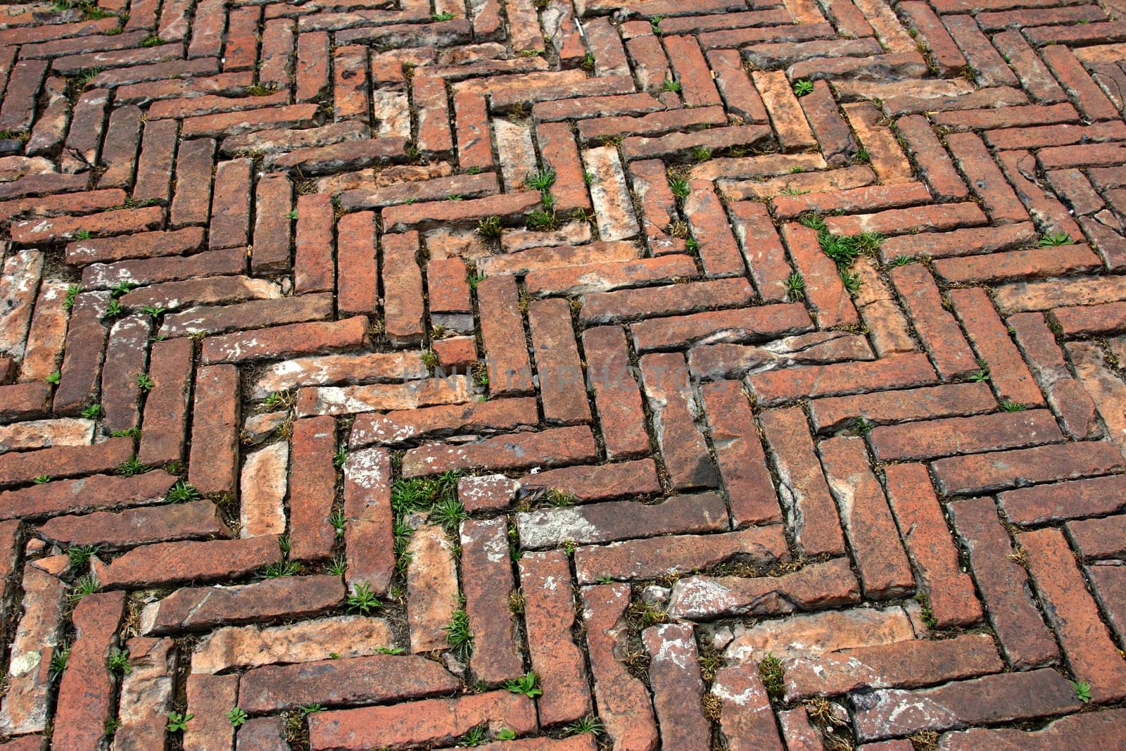 Paving stones