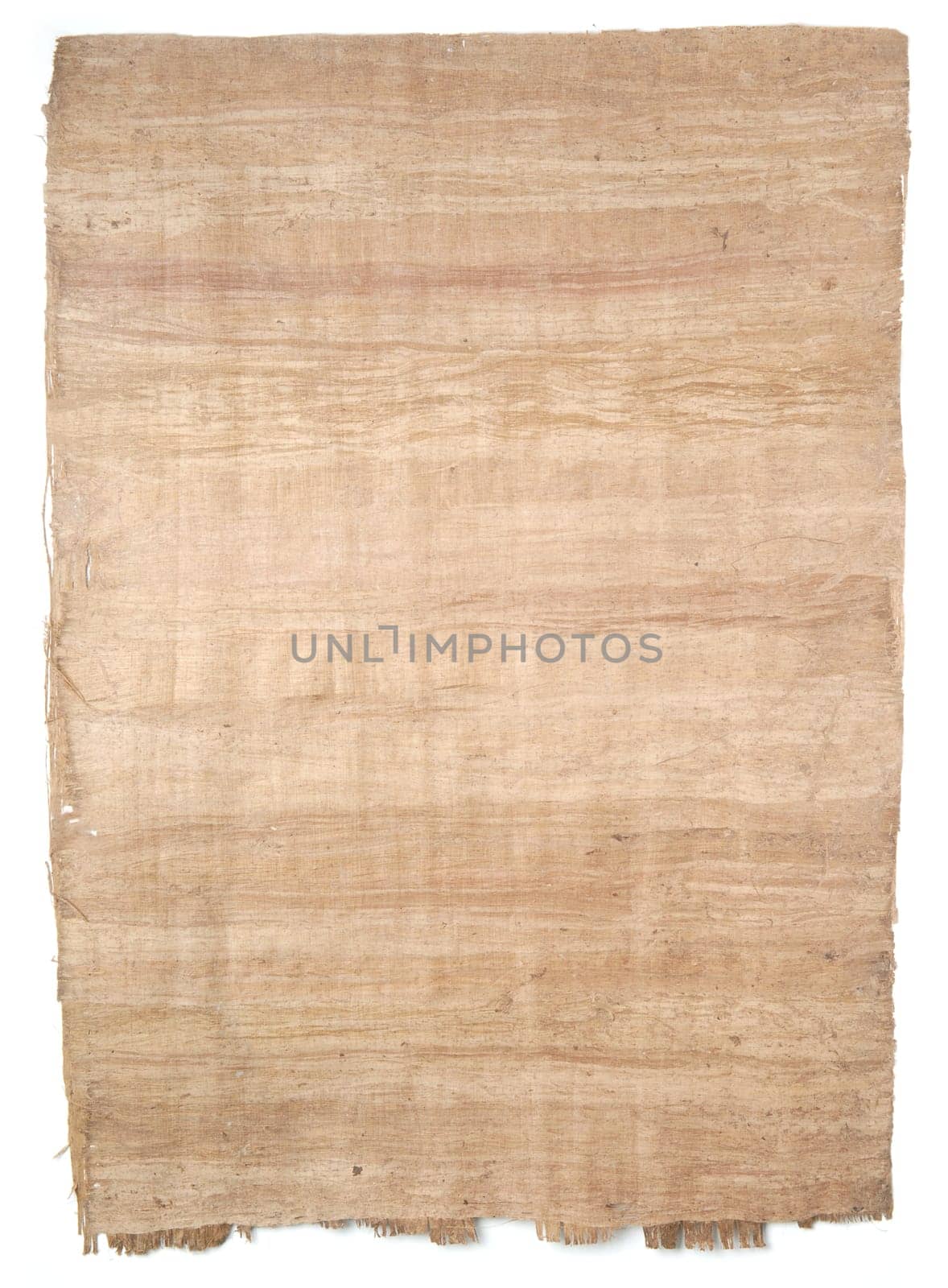 Papyrus paper
