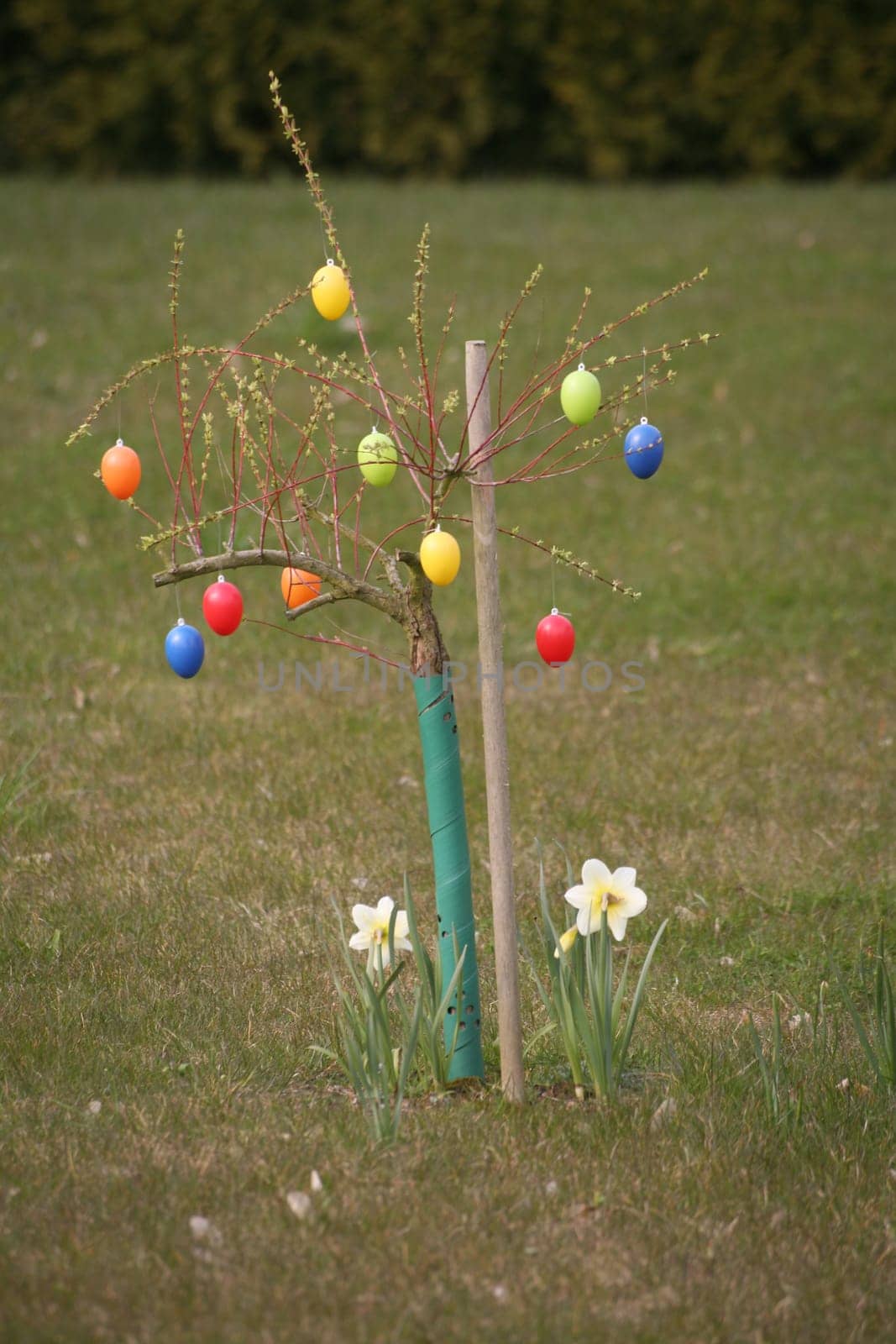 Easter or easter egg