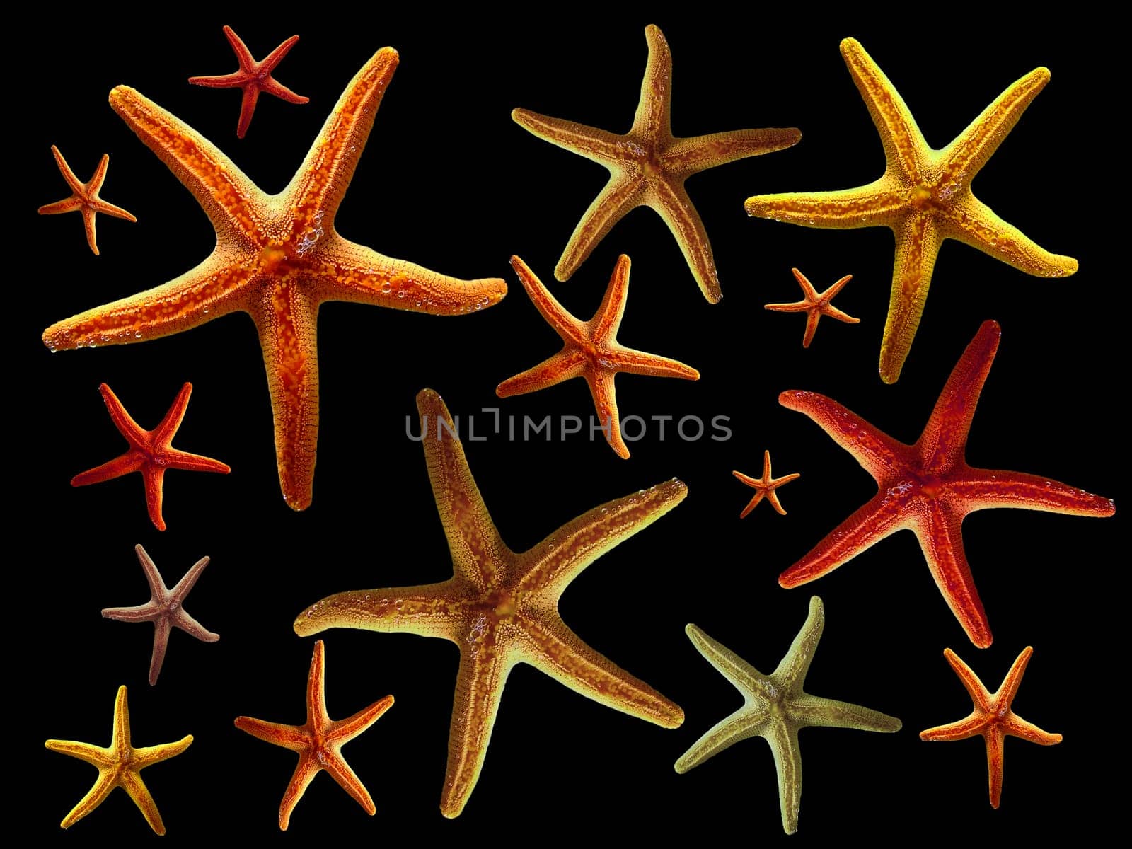 I know that most of you can't see stars anymore... anyway... -)