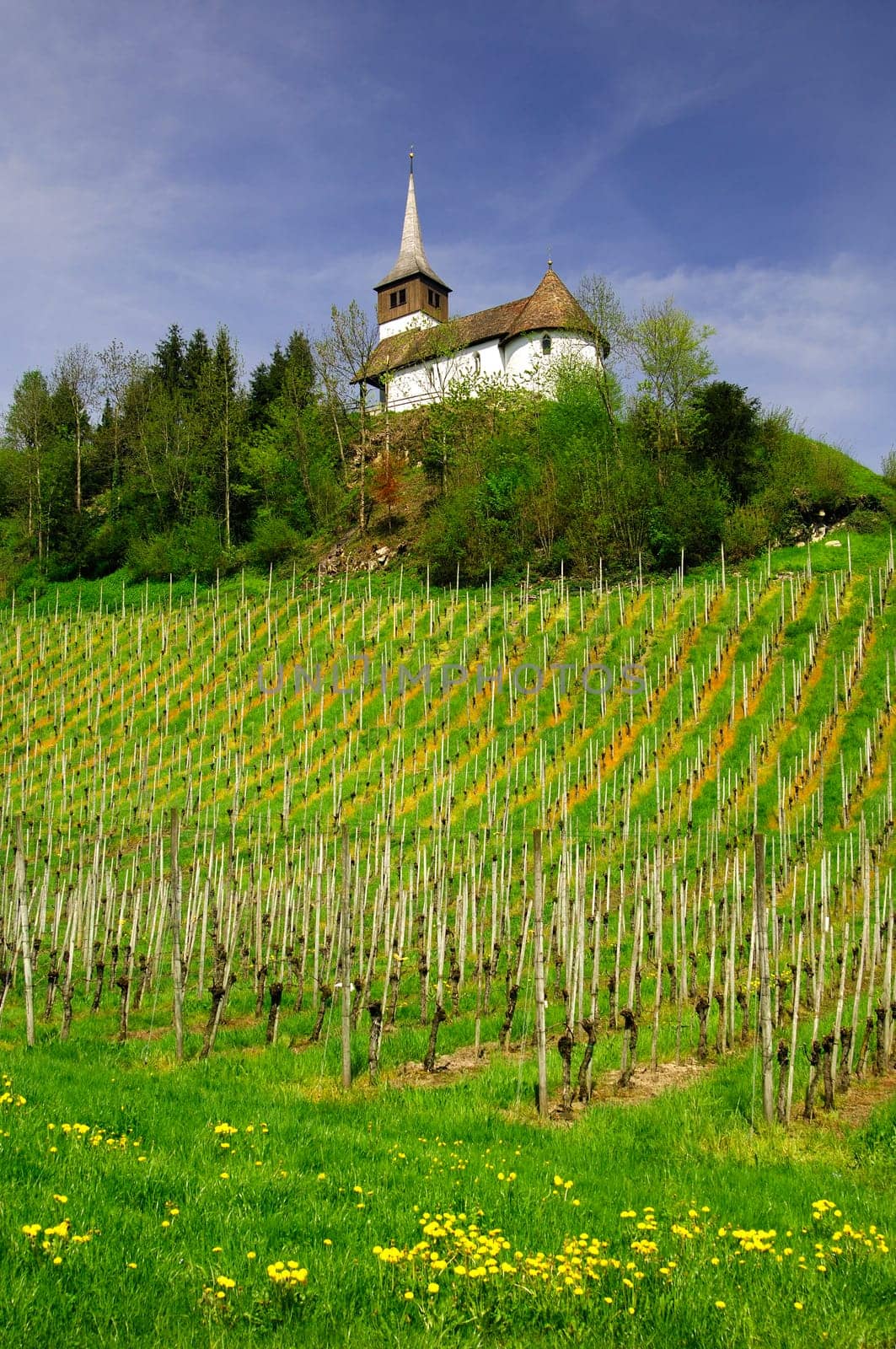 Mountain Church
