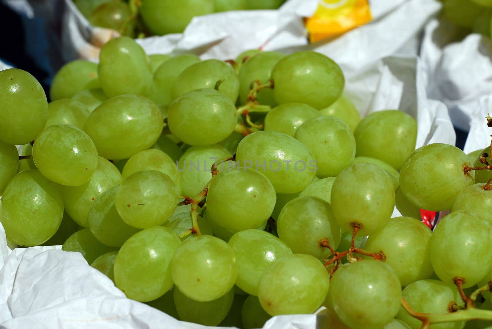 Bunches of grapes
