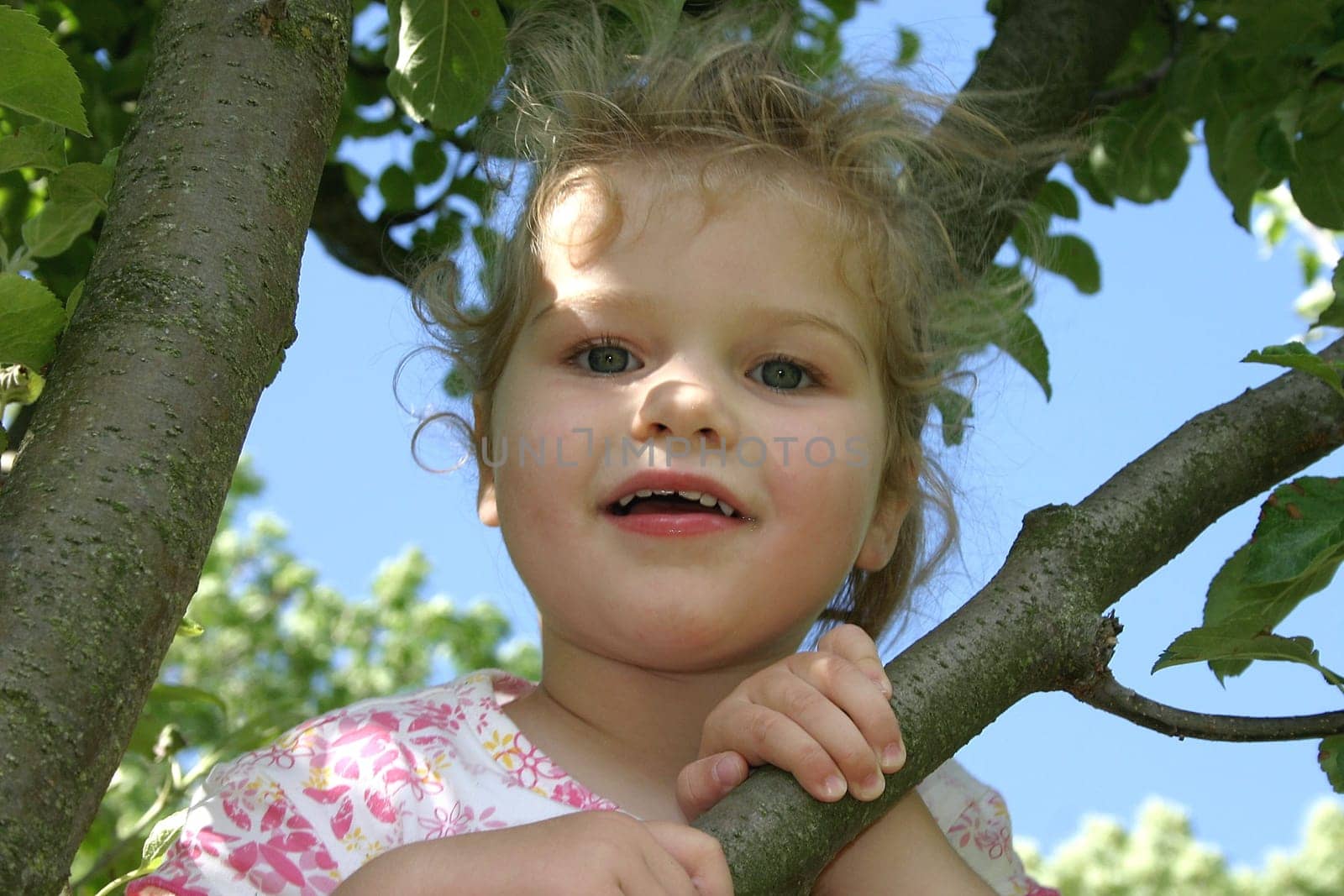 In the tree 02