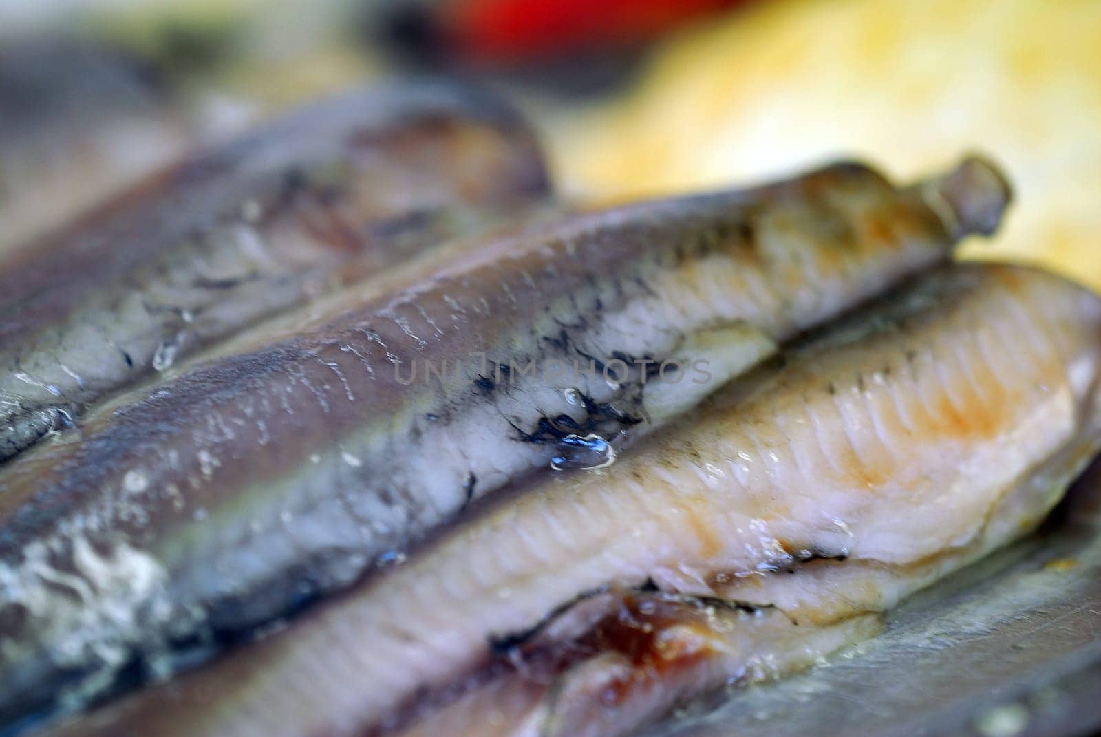 Matjes fillets