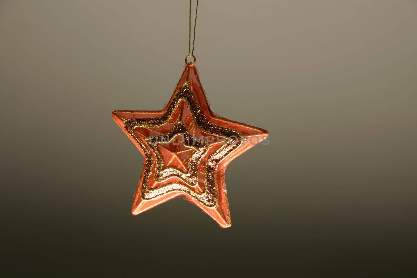 star without celebrity without bird without tree without starfish