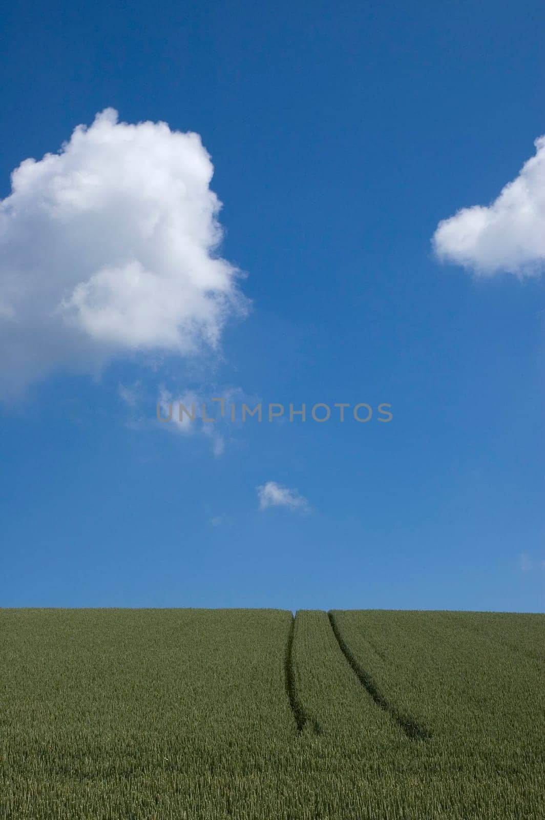 Field structure