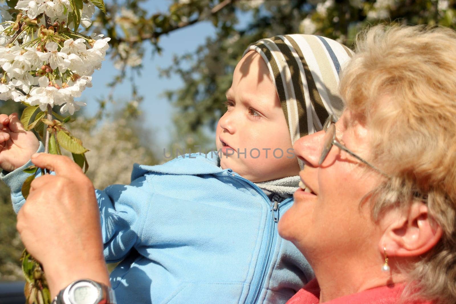 Spring Greetings2
