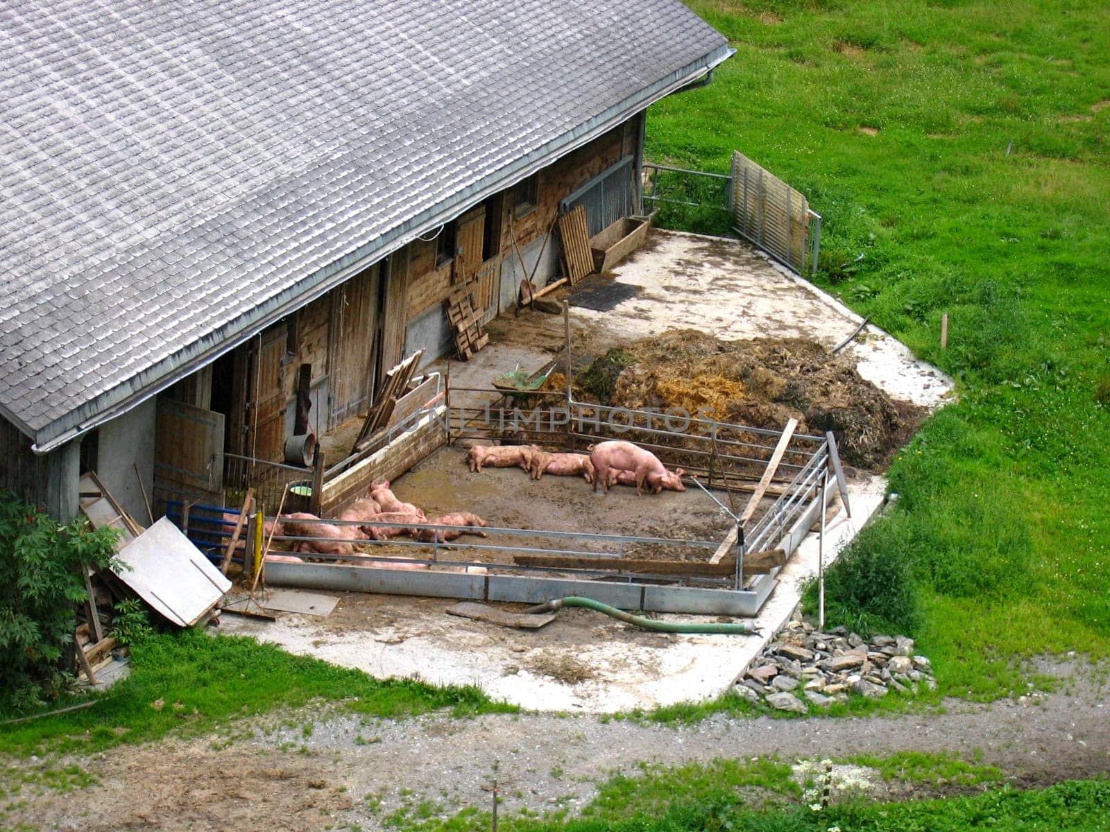 farmstead
