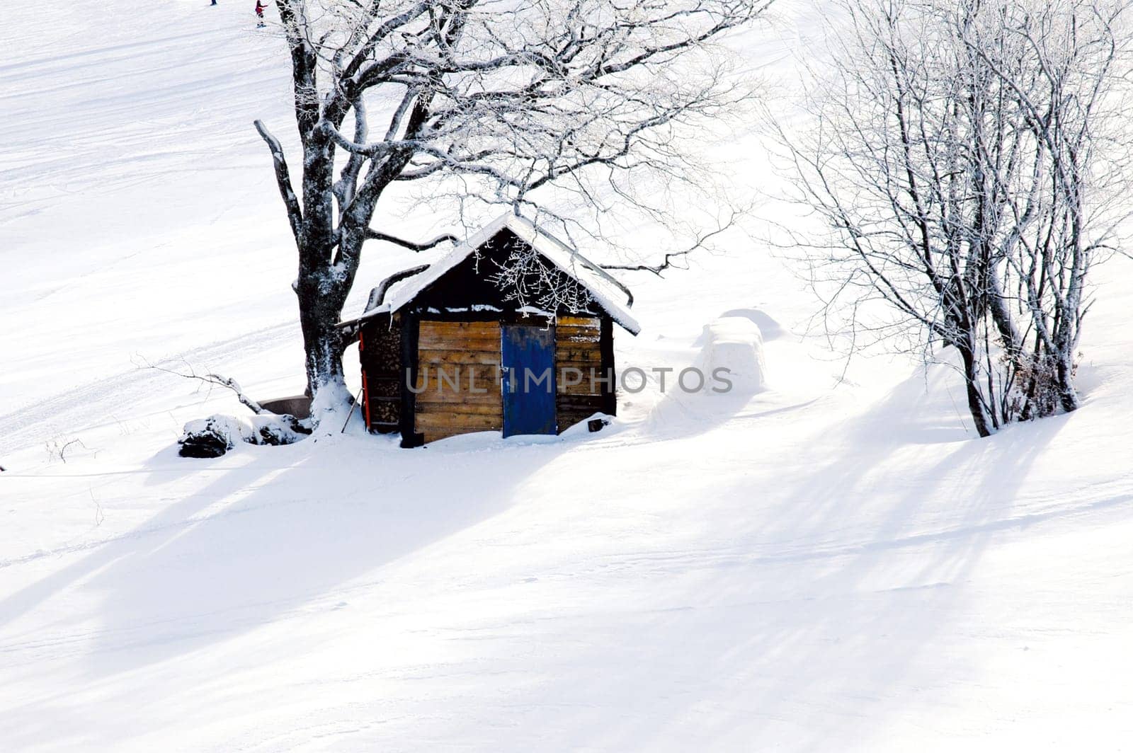 Winter hut