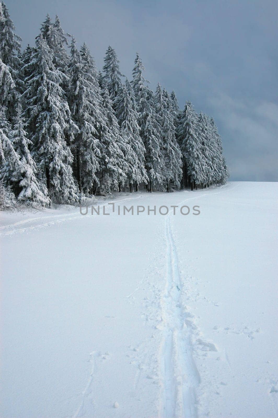 Winter Landscape 30