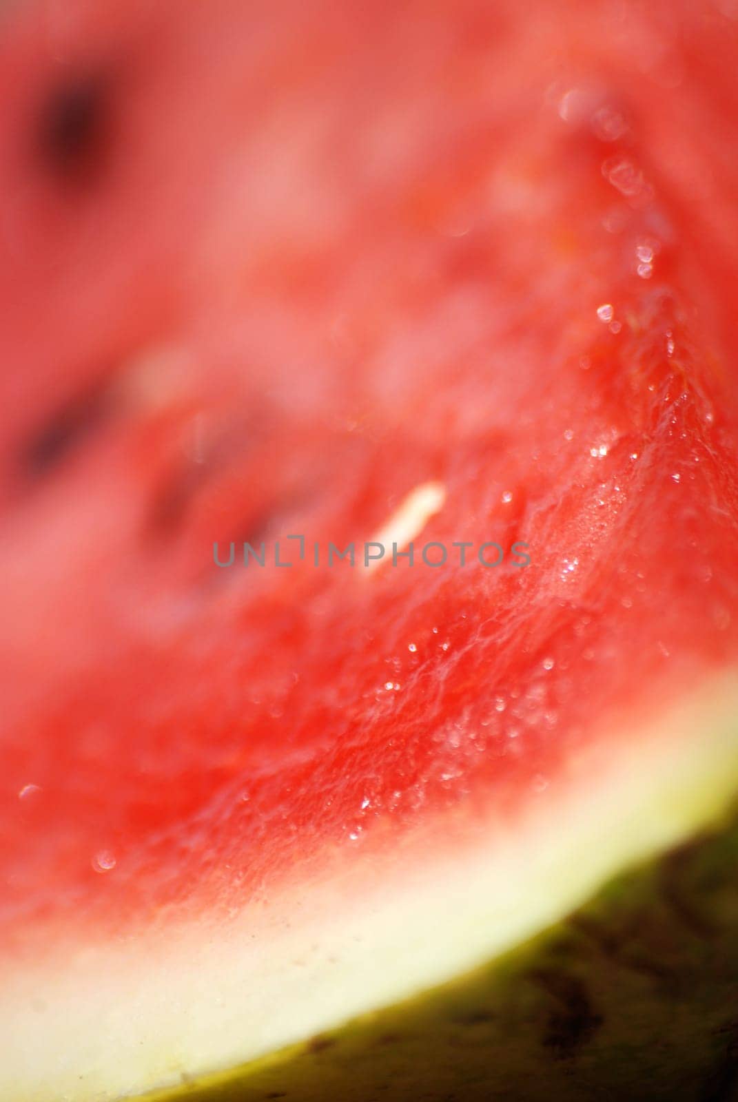 Melon