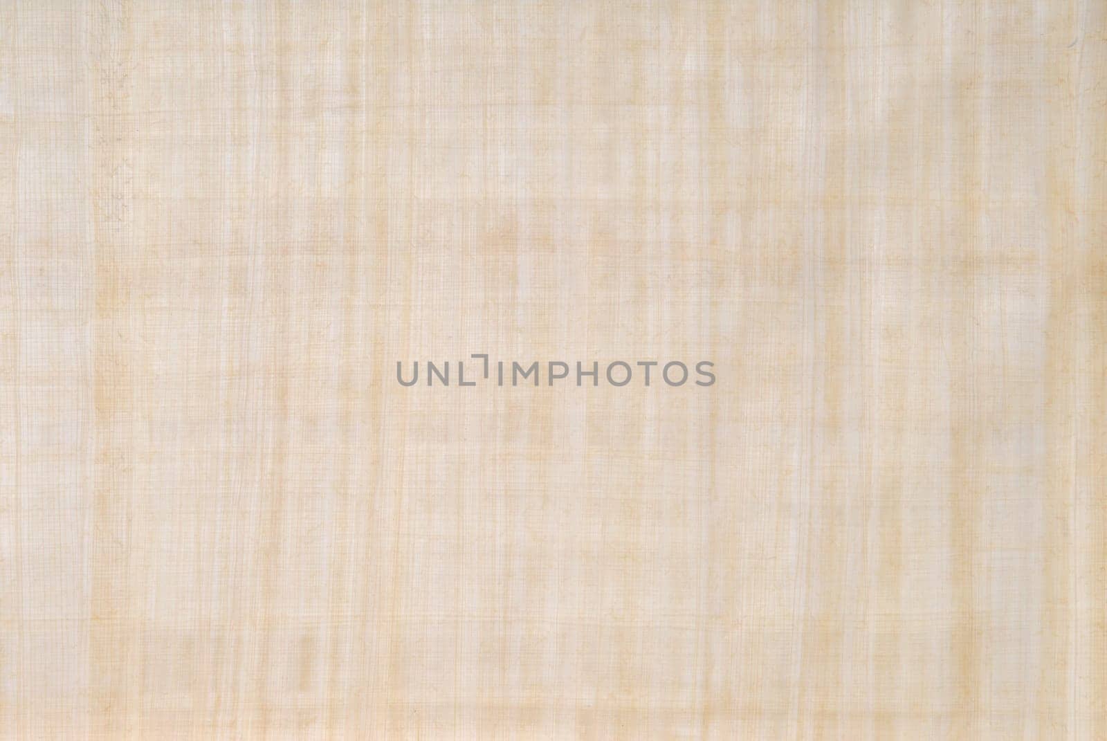 Papyrus paper