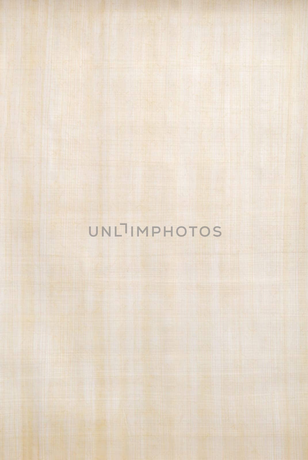 Papyrus paper