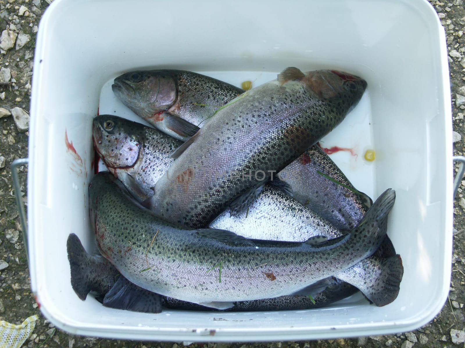 Good catch