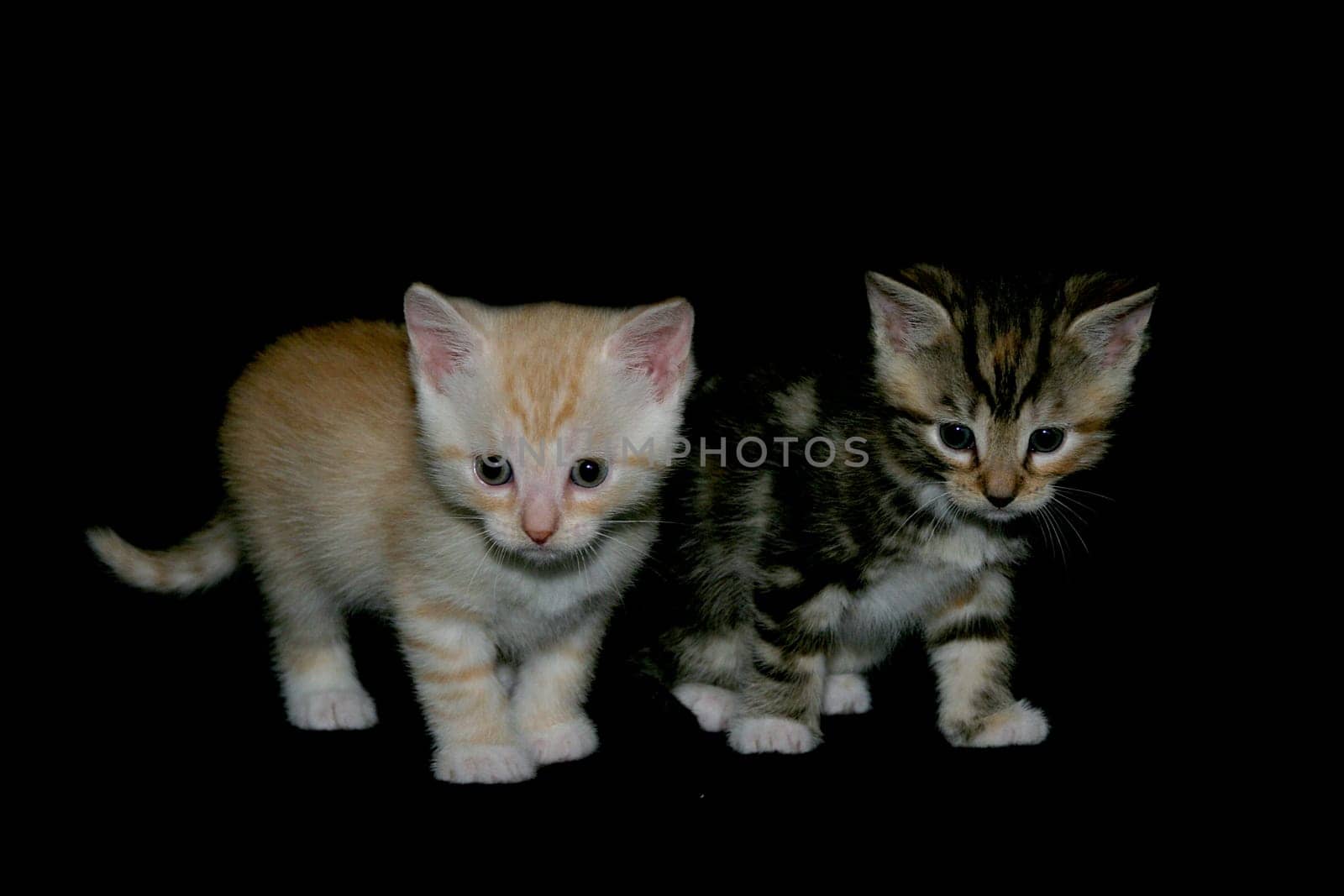 Two on the move
