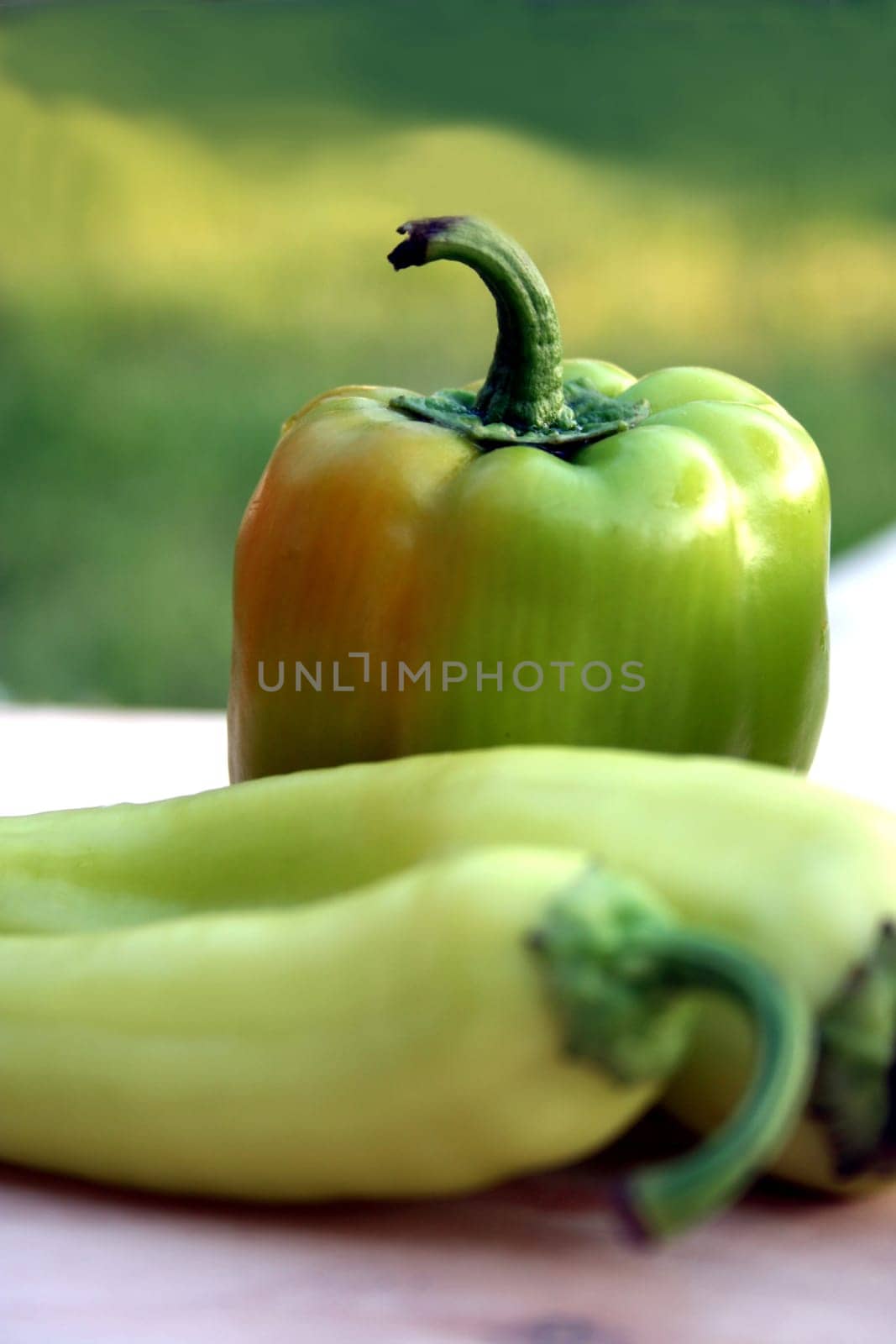 Do any of you know if these small,green mini peppers have a special name? Thanks for info....!