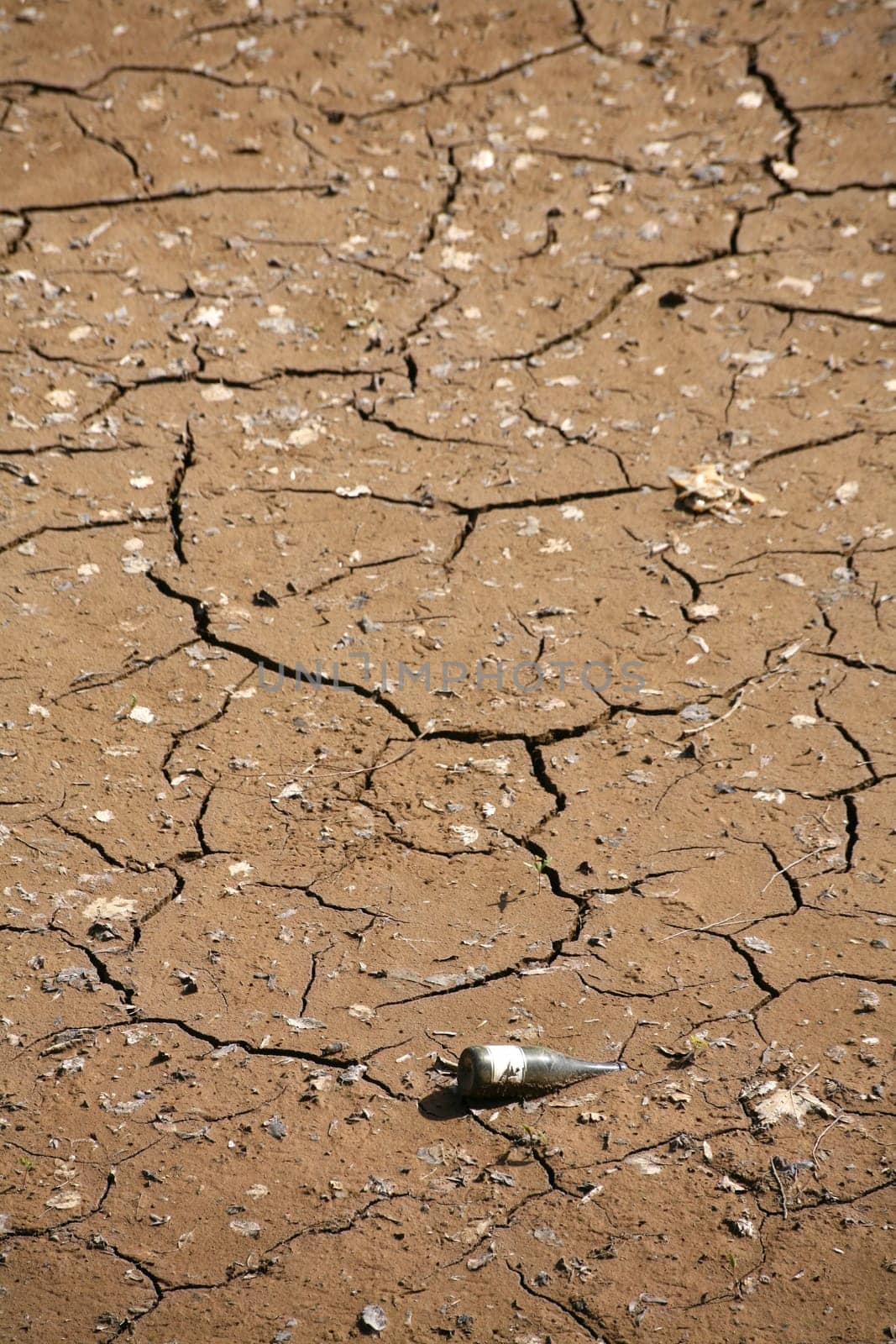Dry