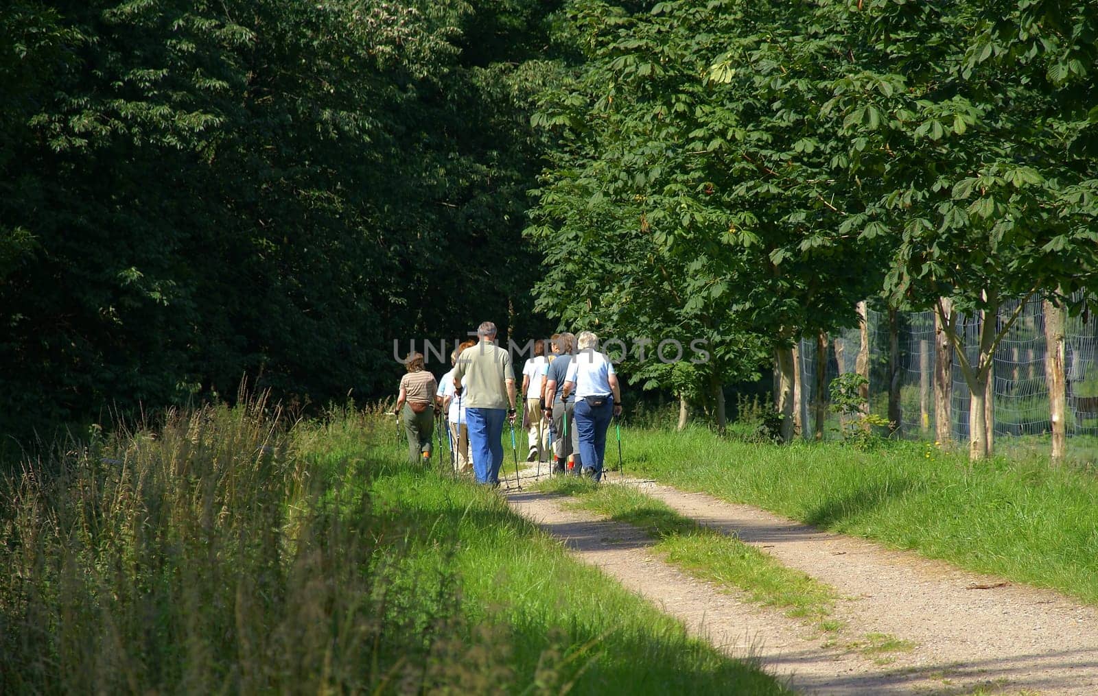 The Walking Group