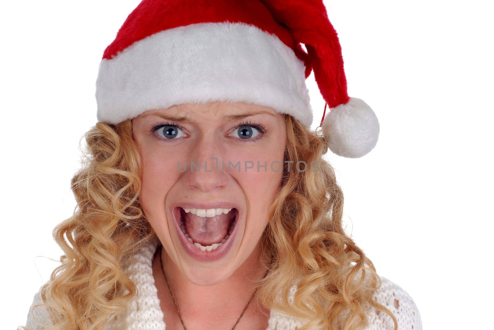 Christmas portrait